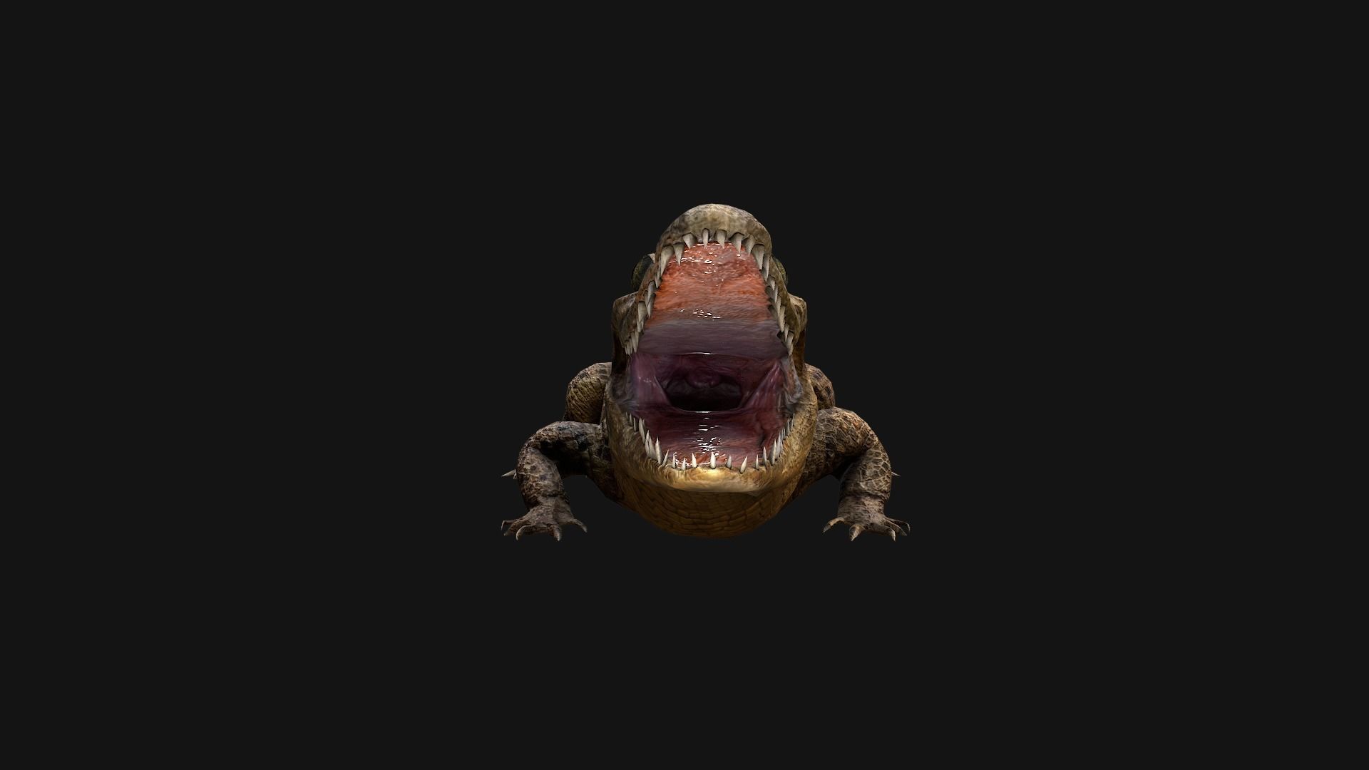 Reptile Crocodile Varan Iguana Low-poly 3D model_30