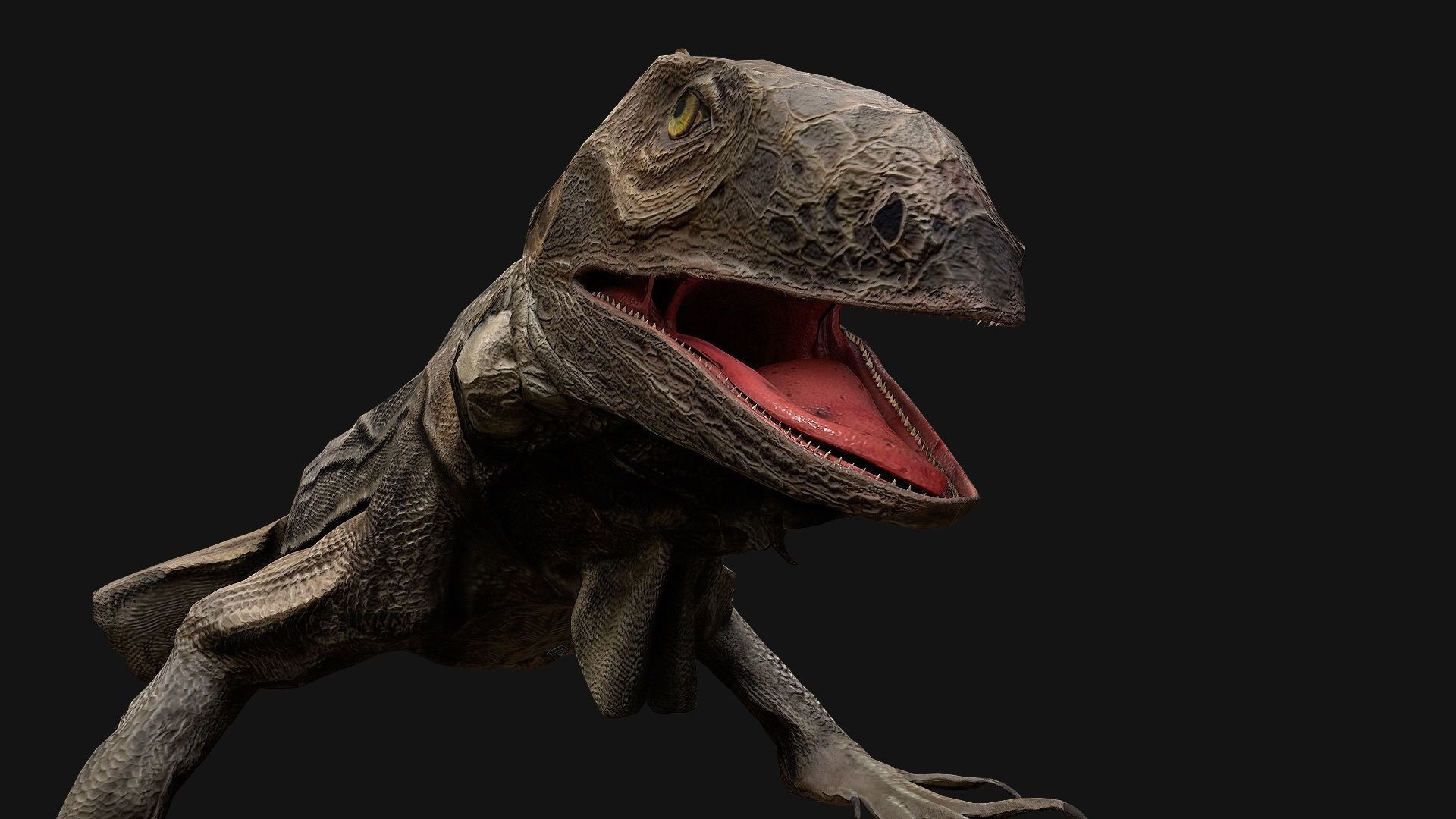 Reptile Crocodile Varan Iguana Low-poly 3D model_41