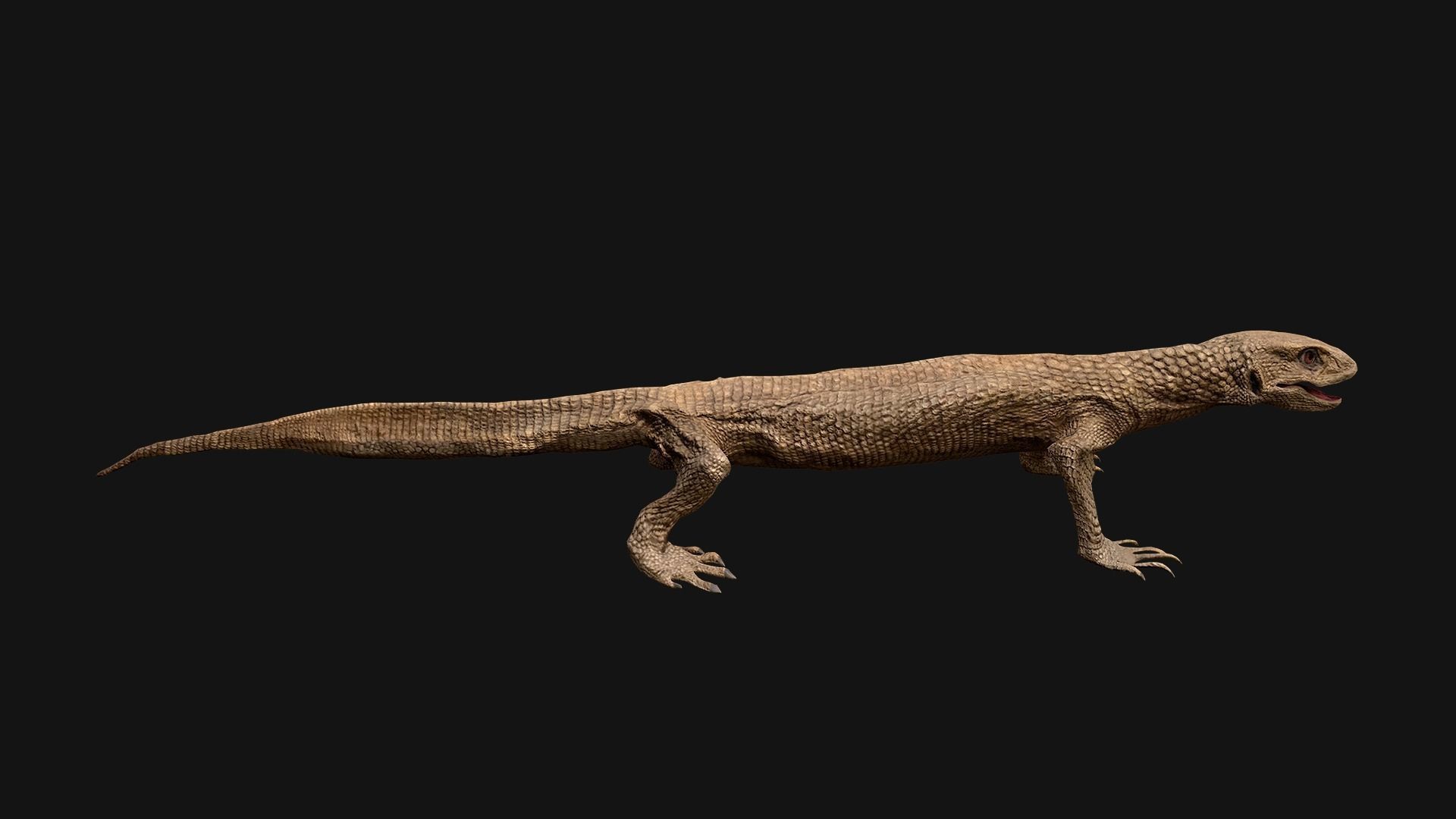 Reptile Crocodile Varan Iguana Low-poly 3D model_60