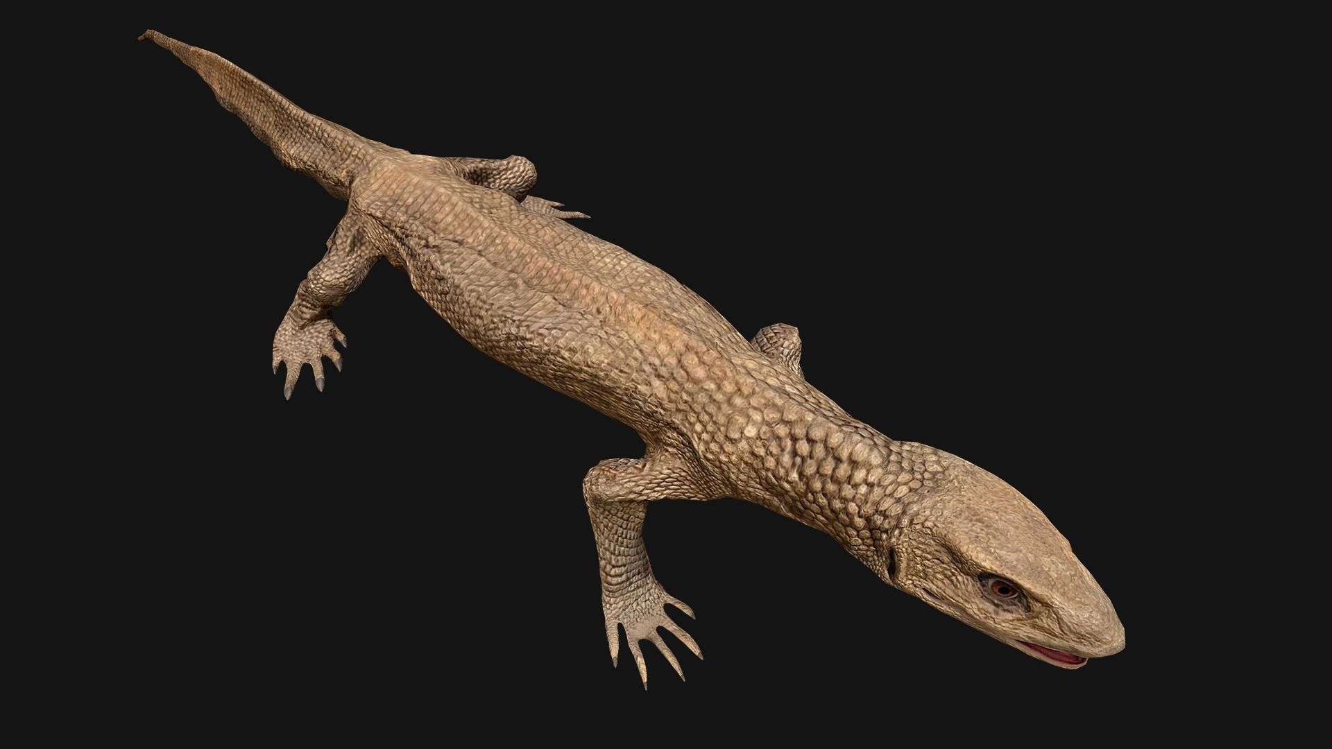 Reptile Crocodile Varan Iguana Low-poly 3D model_9