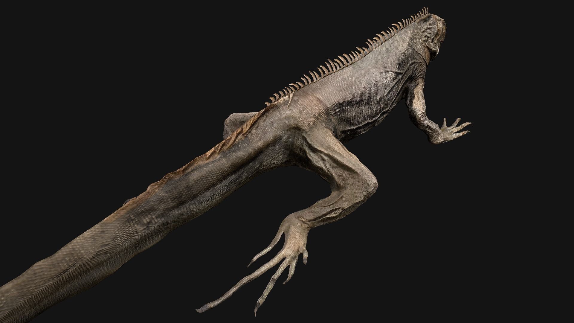 Reptile Crocodile Varan Iguana Low-poly 3D model_40