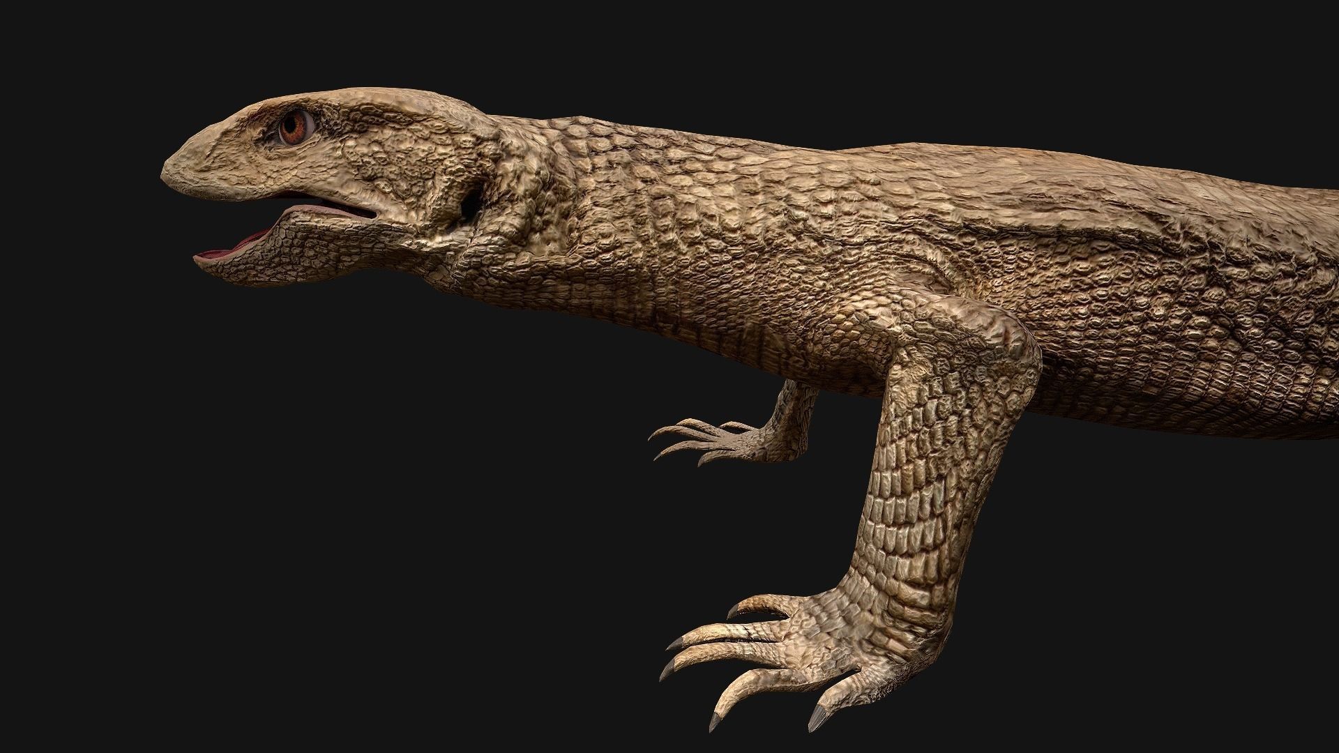 Reptile Crocodile Varan Iguana Low-poly 3D model_54