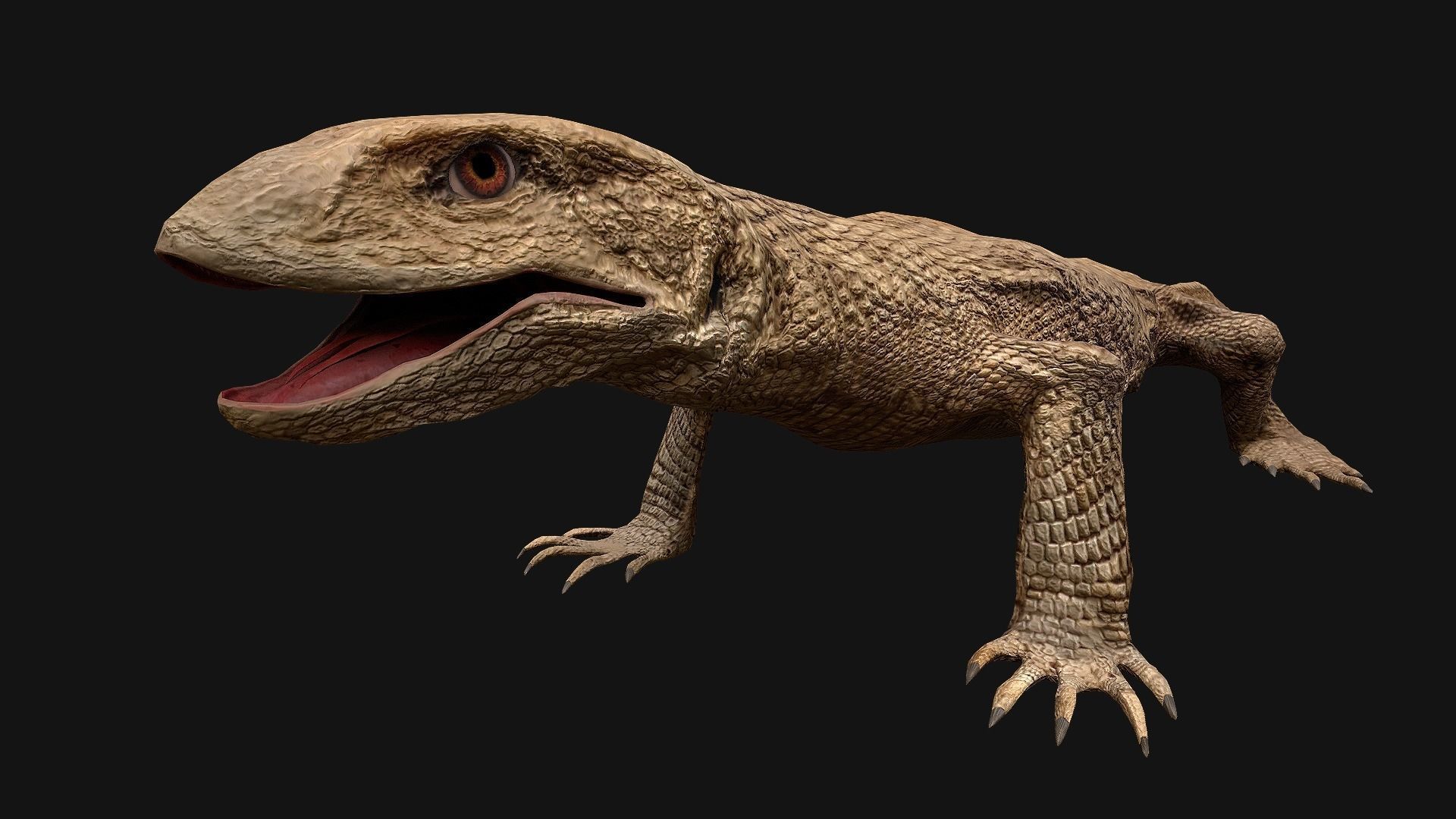 Reptile Crocodile Varan Iguana Low-poly 3D model_51