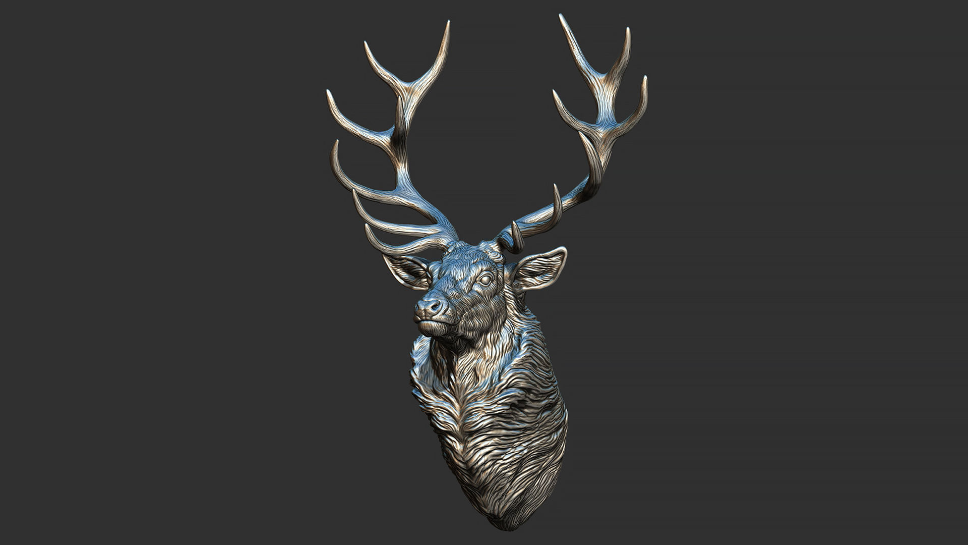 Red deer bust 3D print model_15