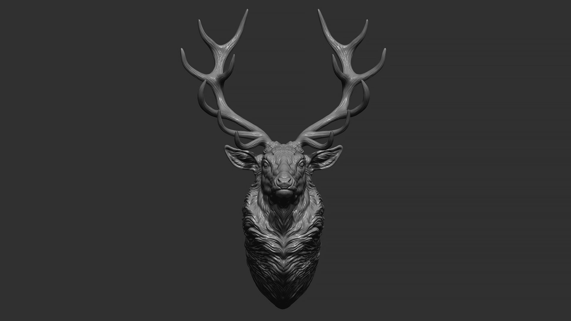 Red deer bust 3D print model_8