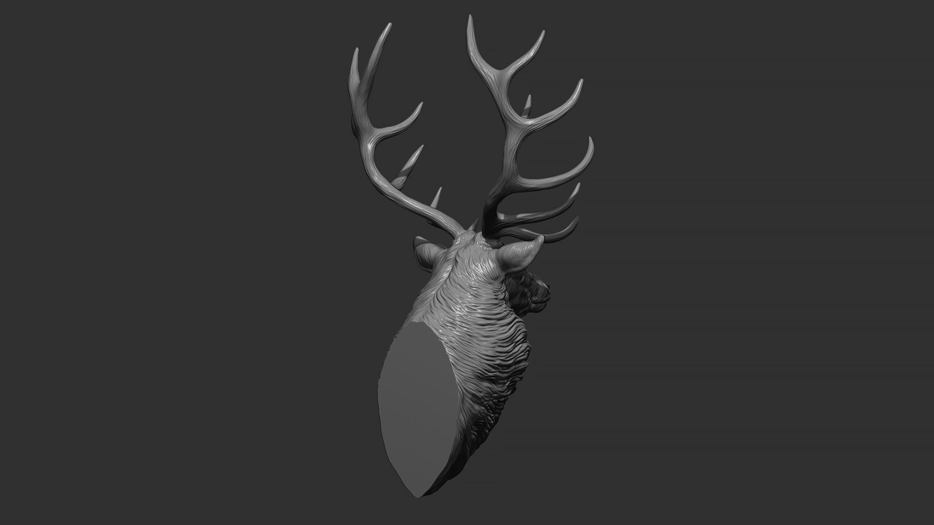 Red deer bust 3D print model_7