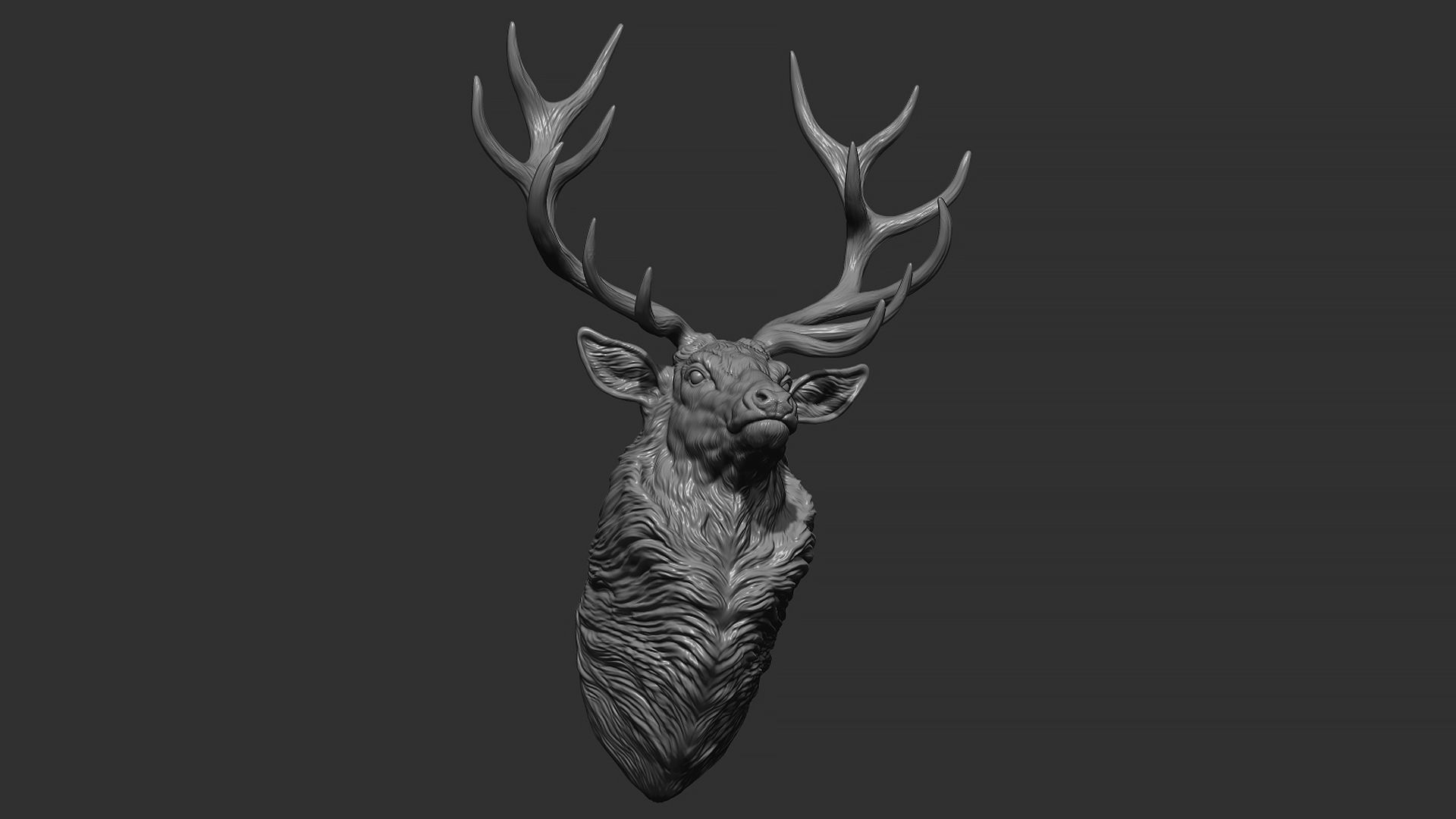 Red deer bust 3D print model_4