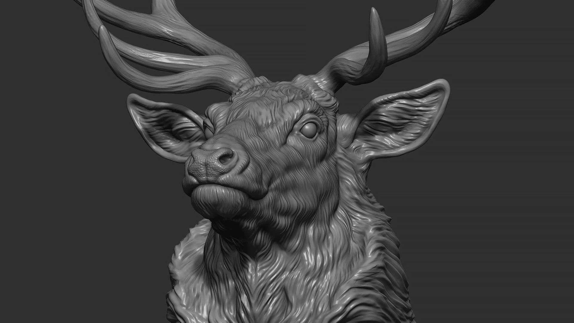 Red deer bust 3D print model_3