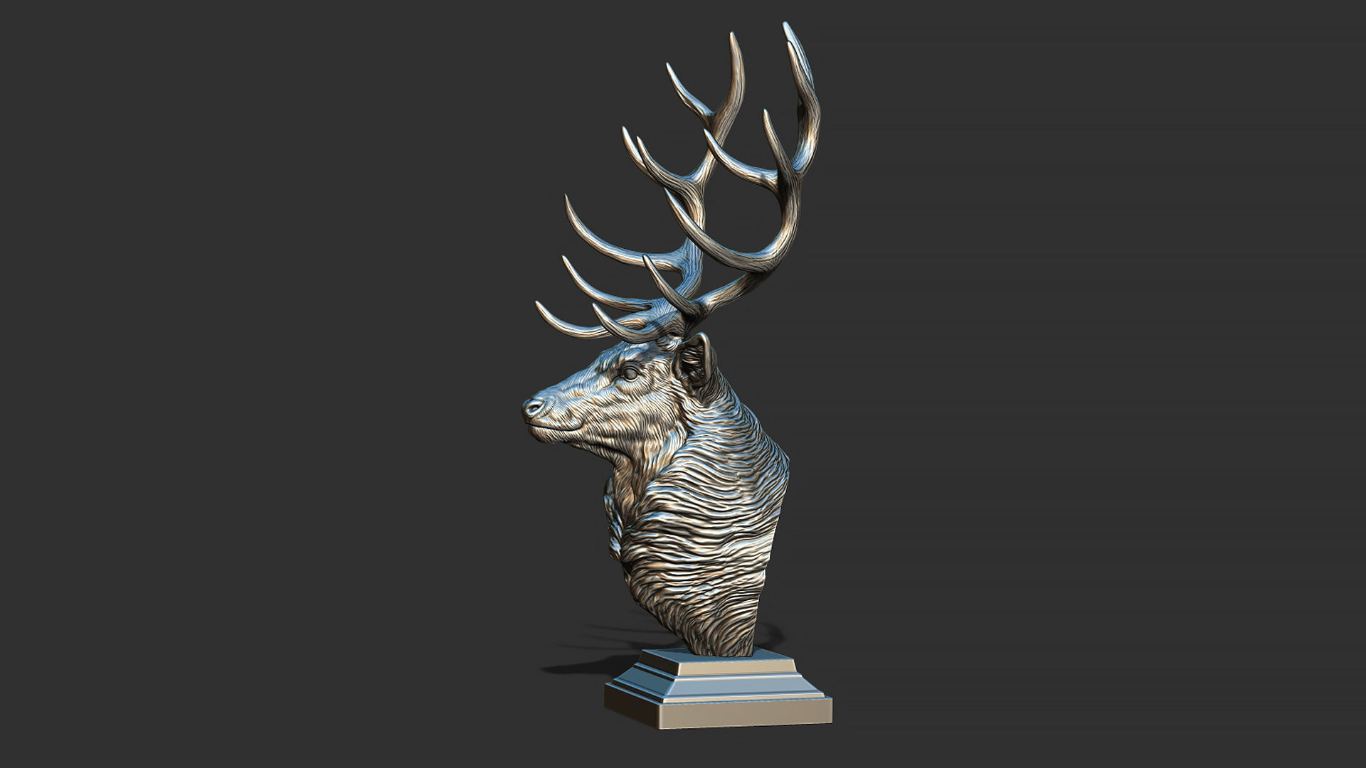 Red deer bust 3D print model_13