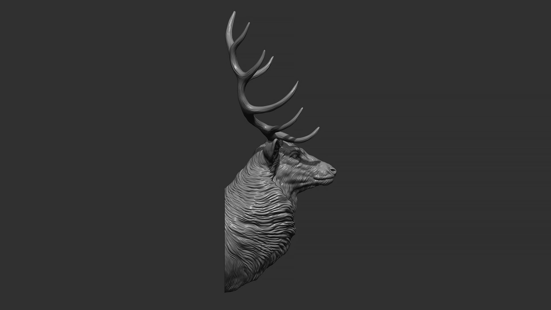 Red deer bust 3D print model_11