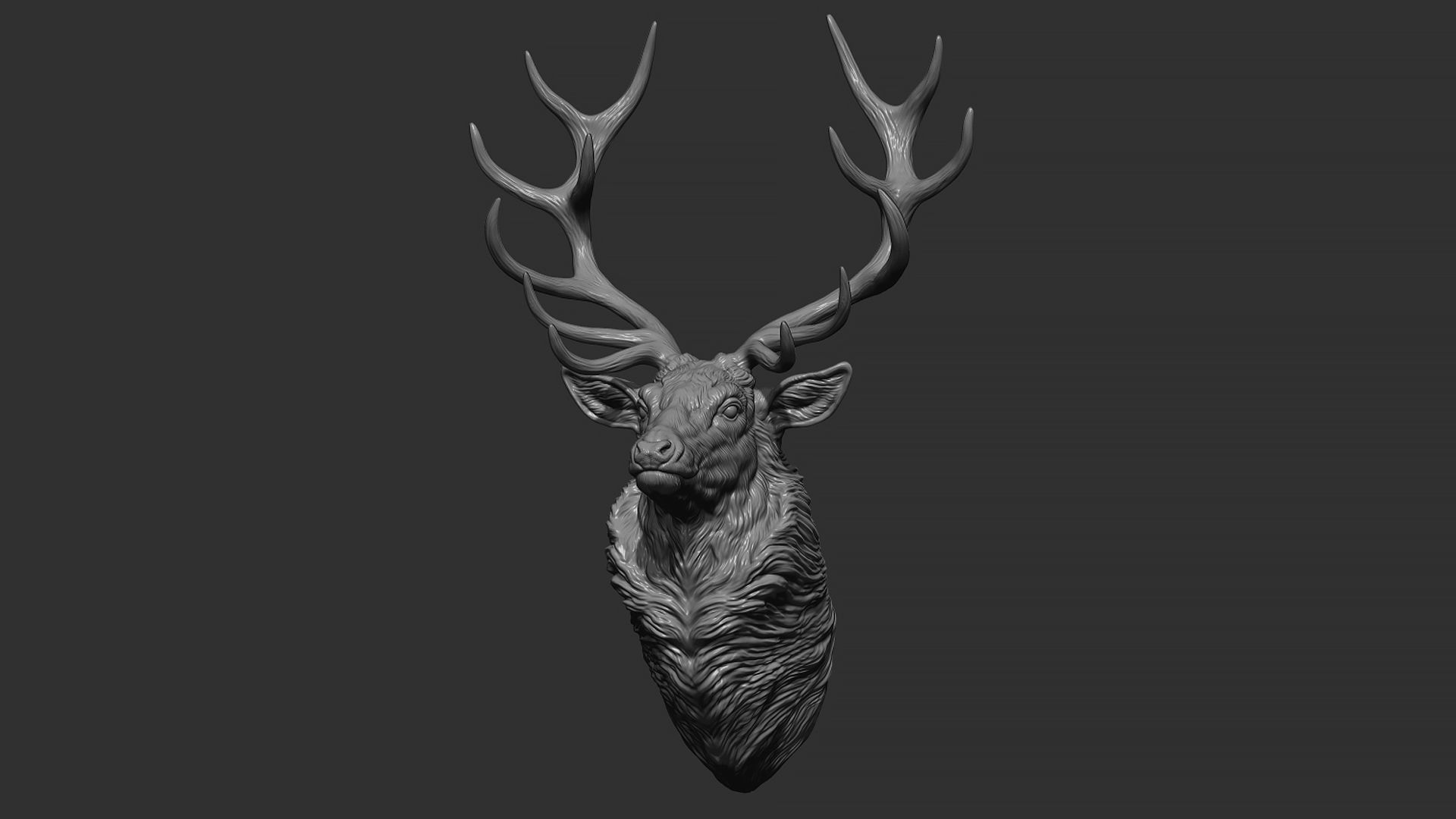 Red deer bust 3D print model_6