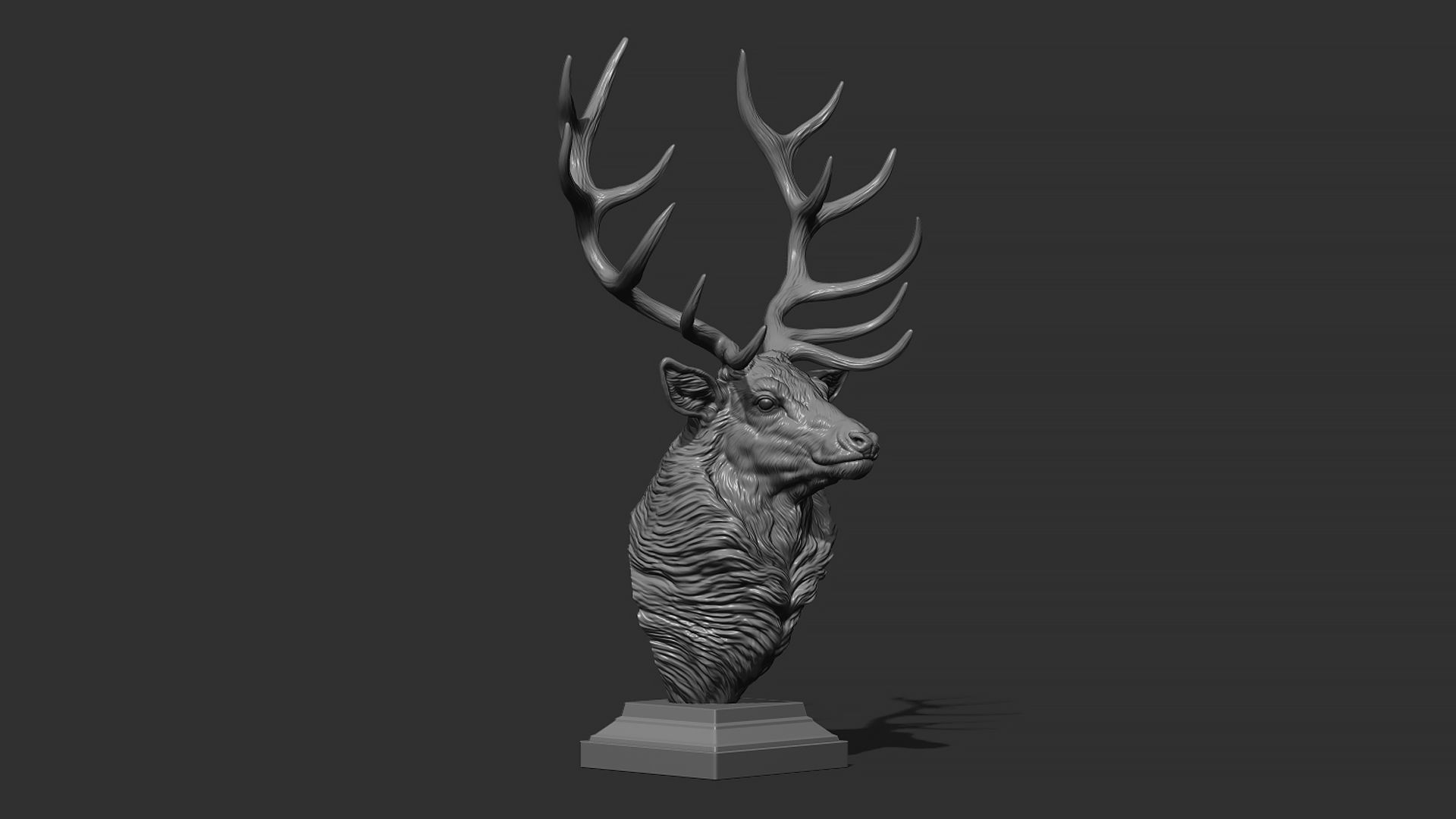 Red deer bust 3D print model_10