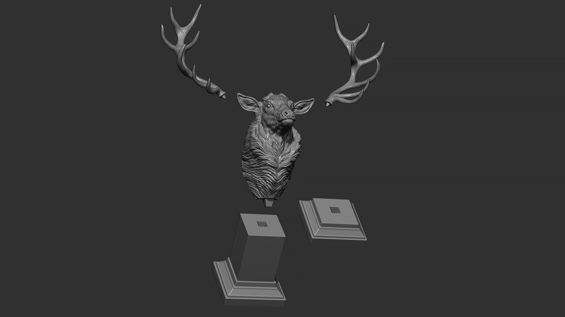 Red deer bust 3D print model_19