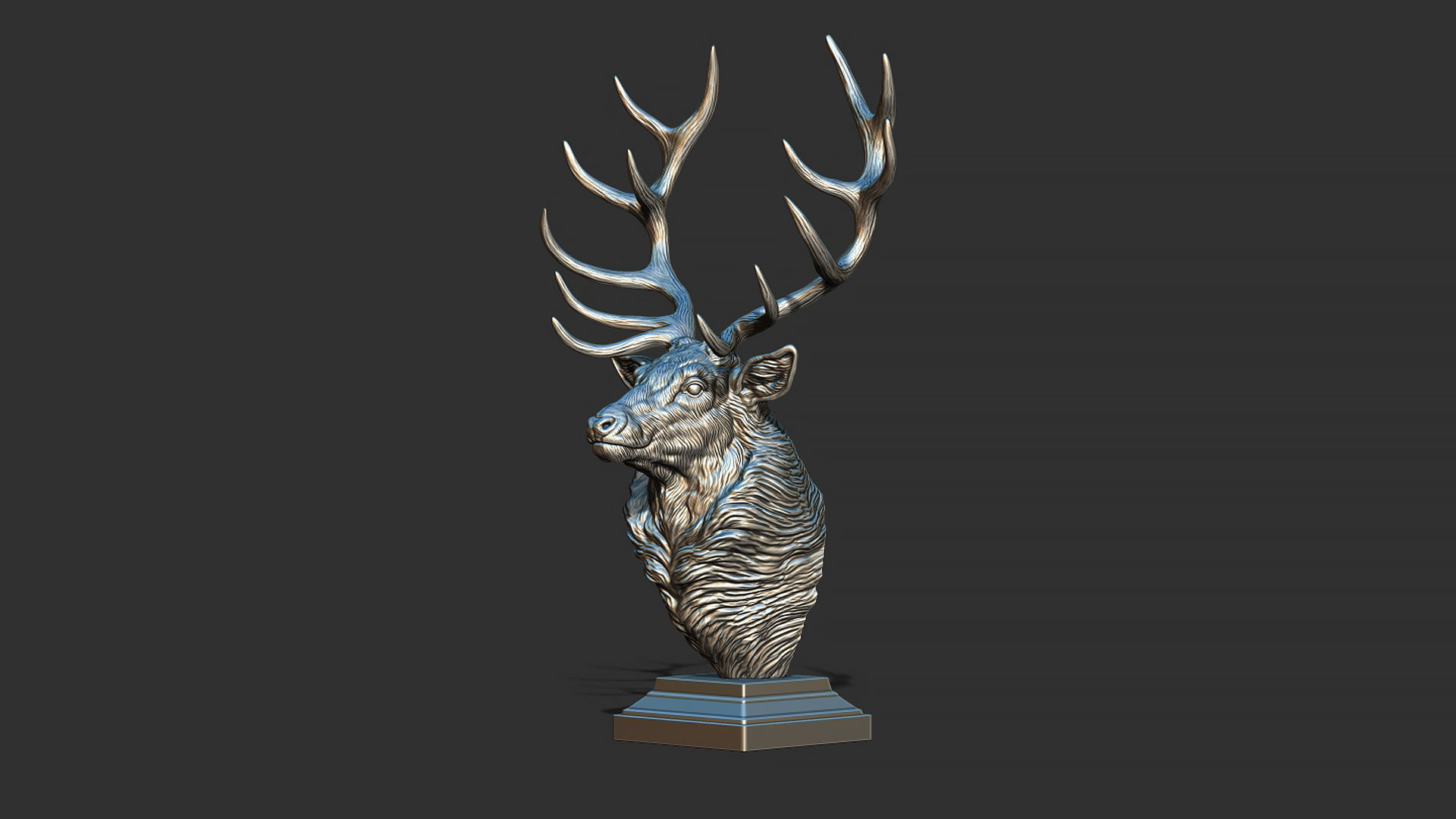 Red deer bust 3D print model_12