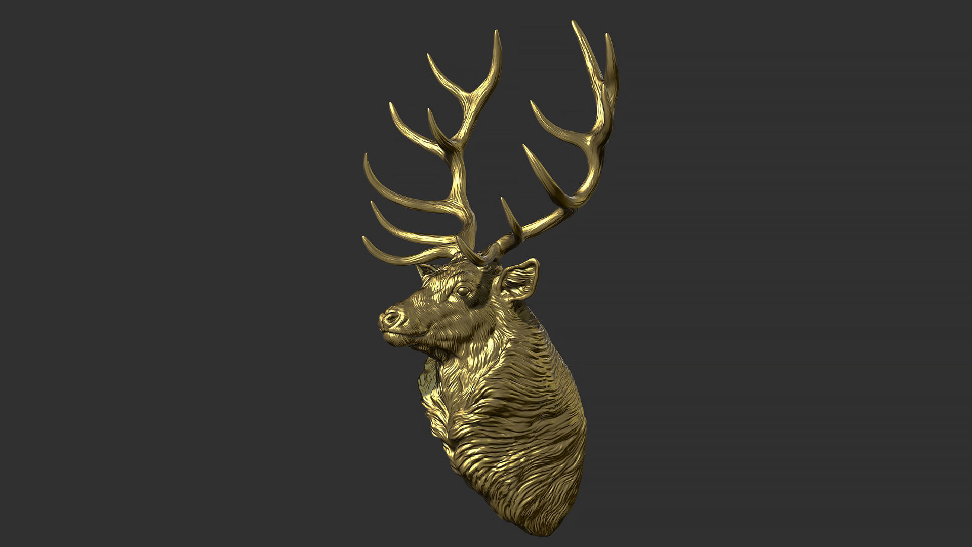 Red deer bust 3D print model_14