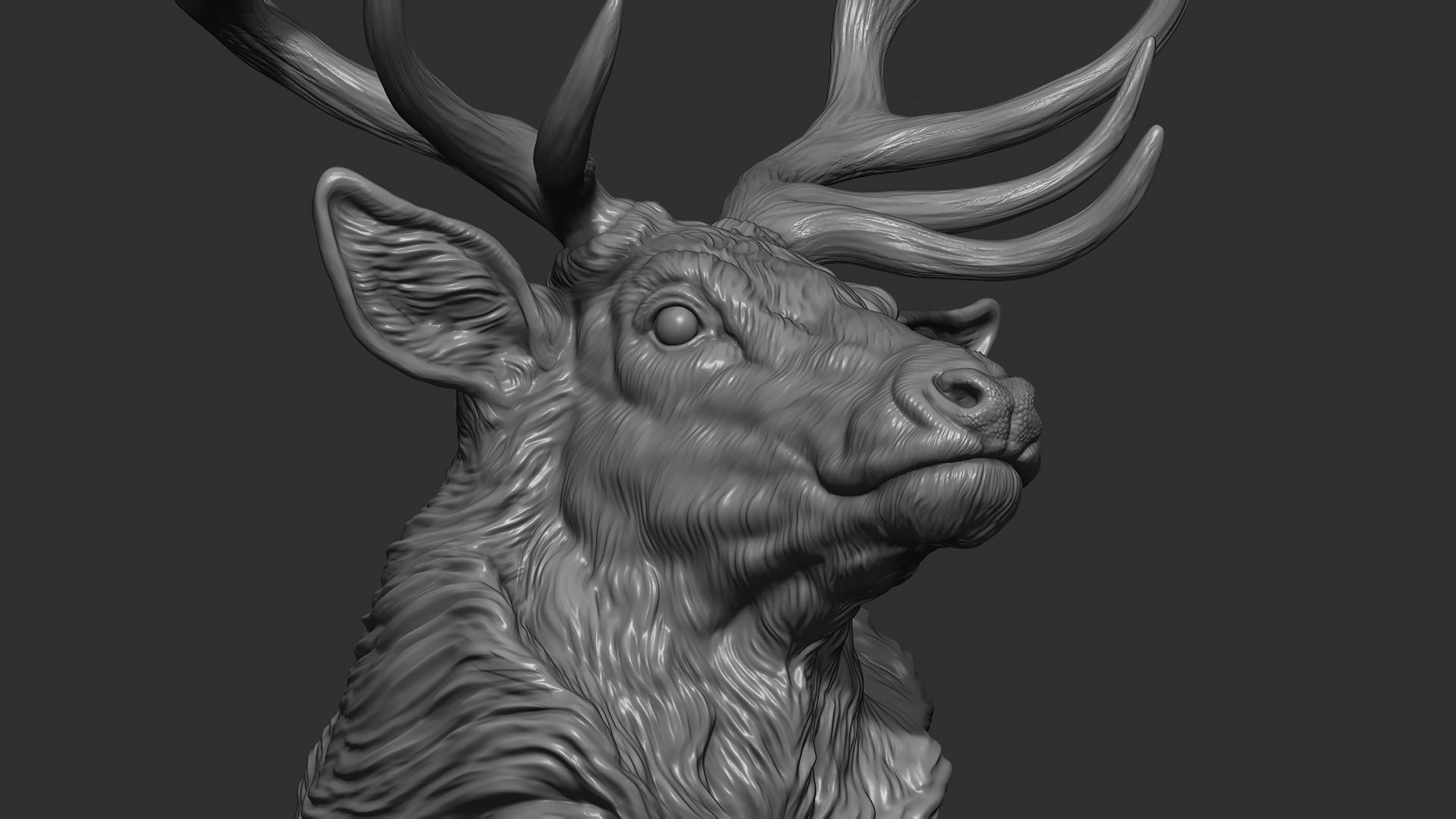 Red deer bust 3D print model_2