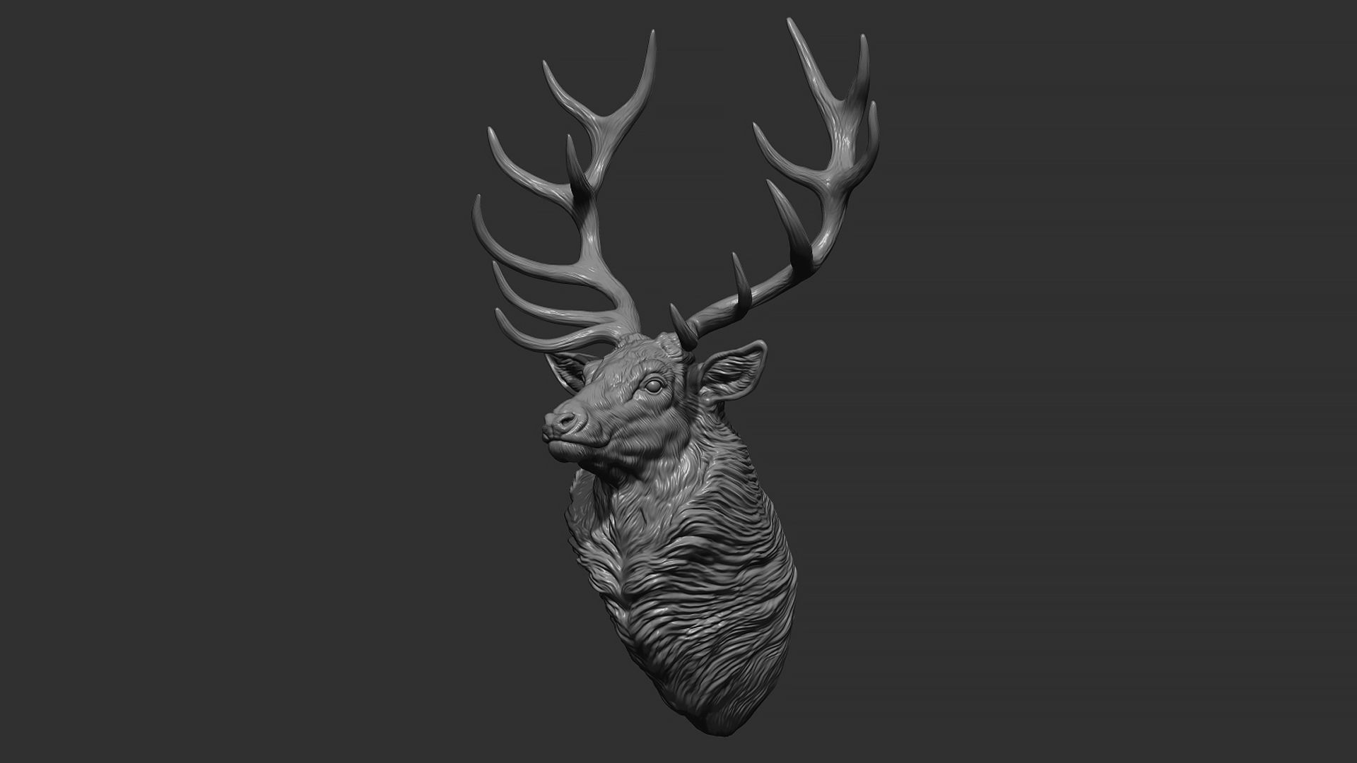 Red deer bust 3D print model_9