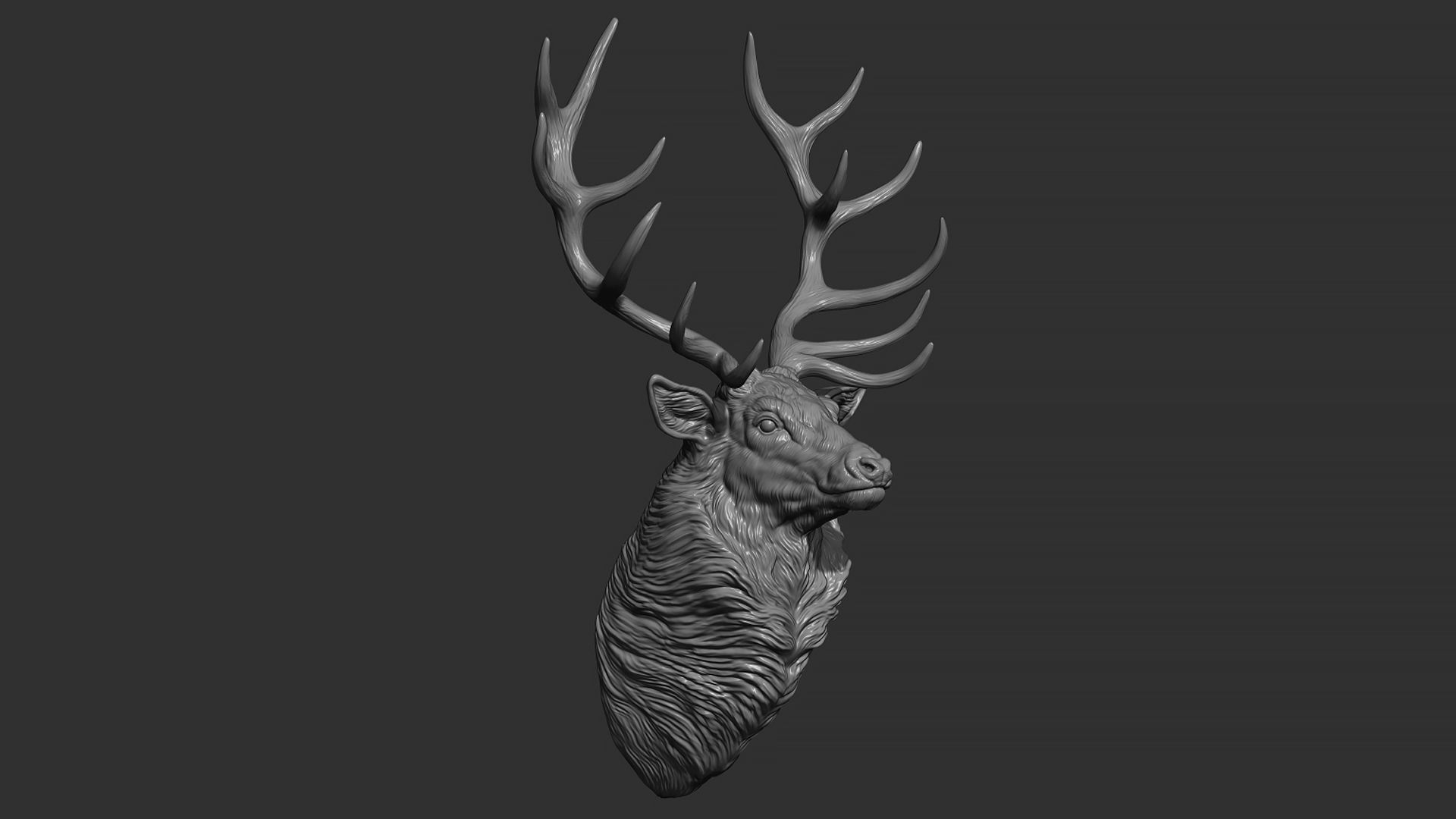 Red deer bust 3D print model_5