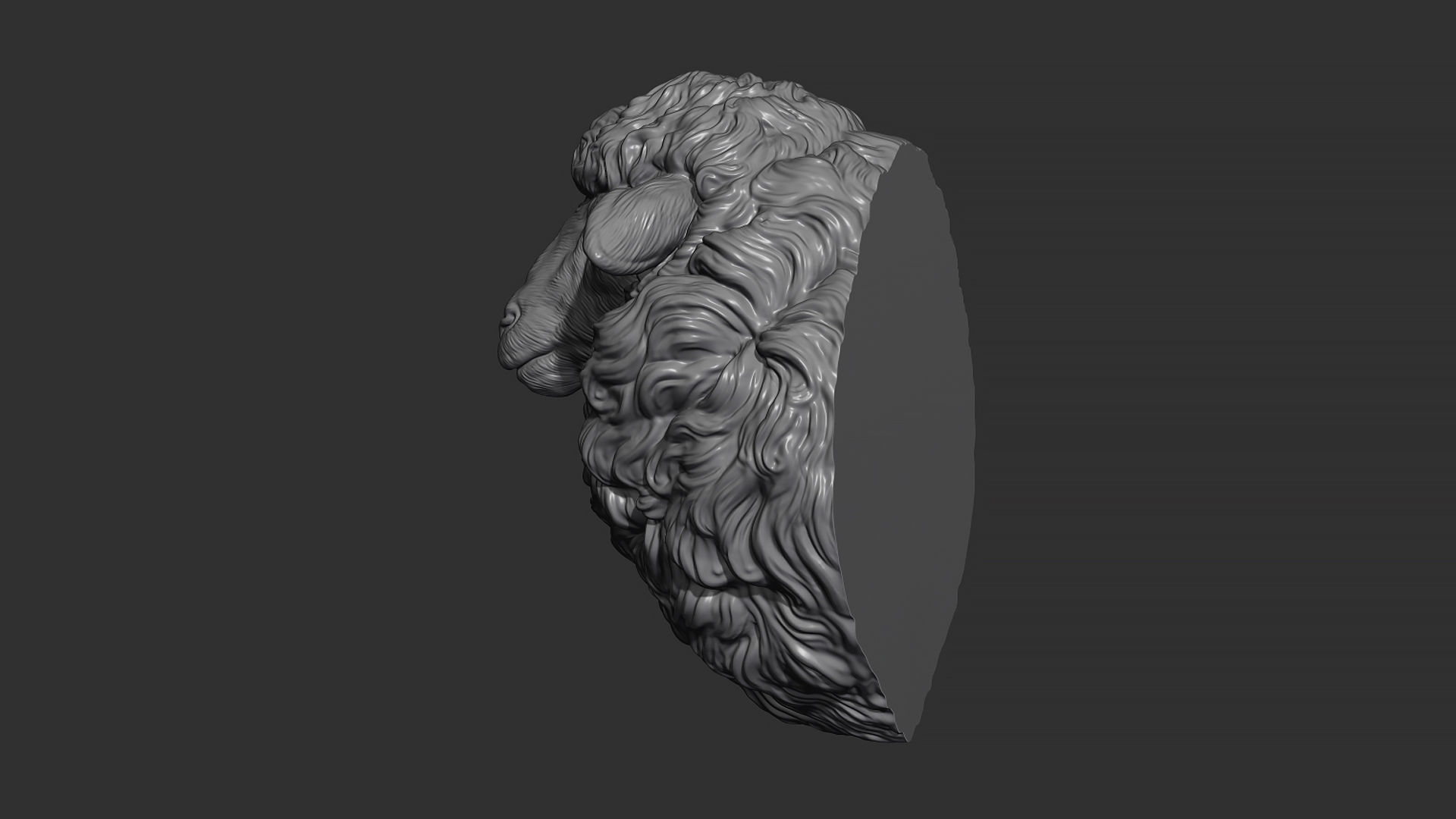 Sheep head 3D print model_9