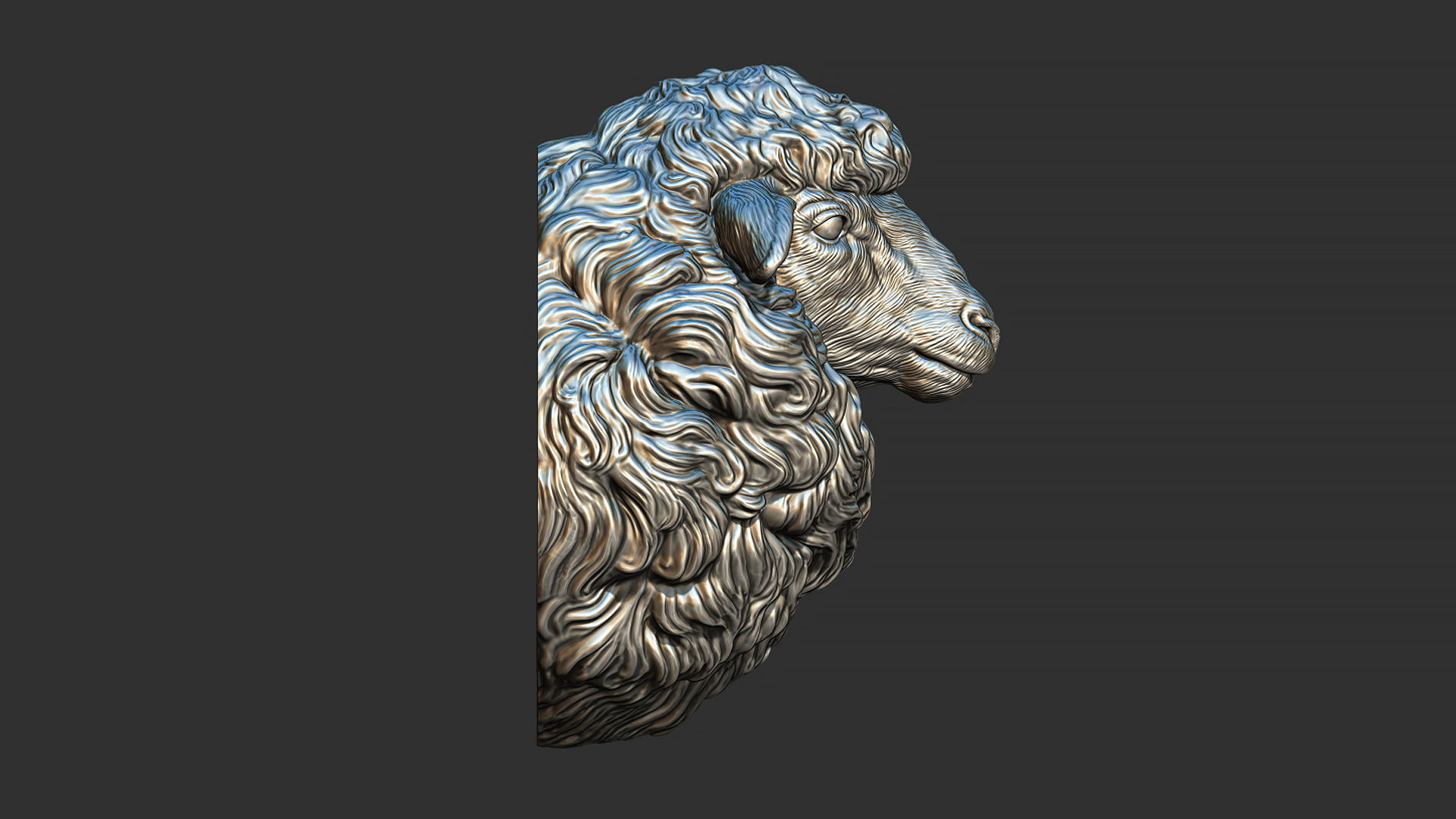 Sheep head 3D print model_5