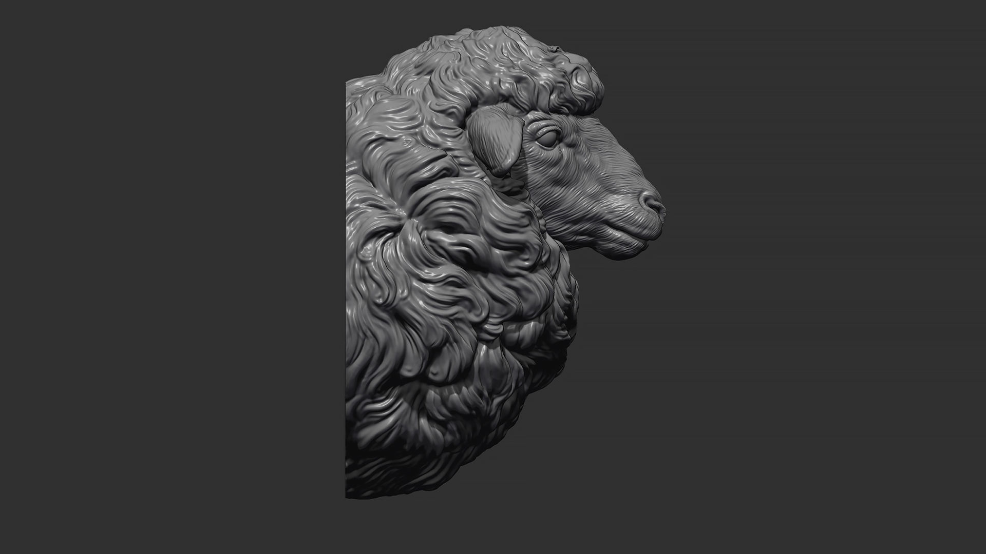Sheep head 3D print model_8