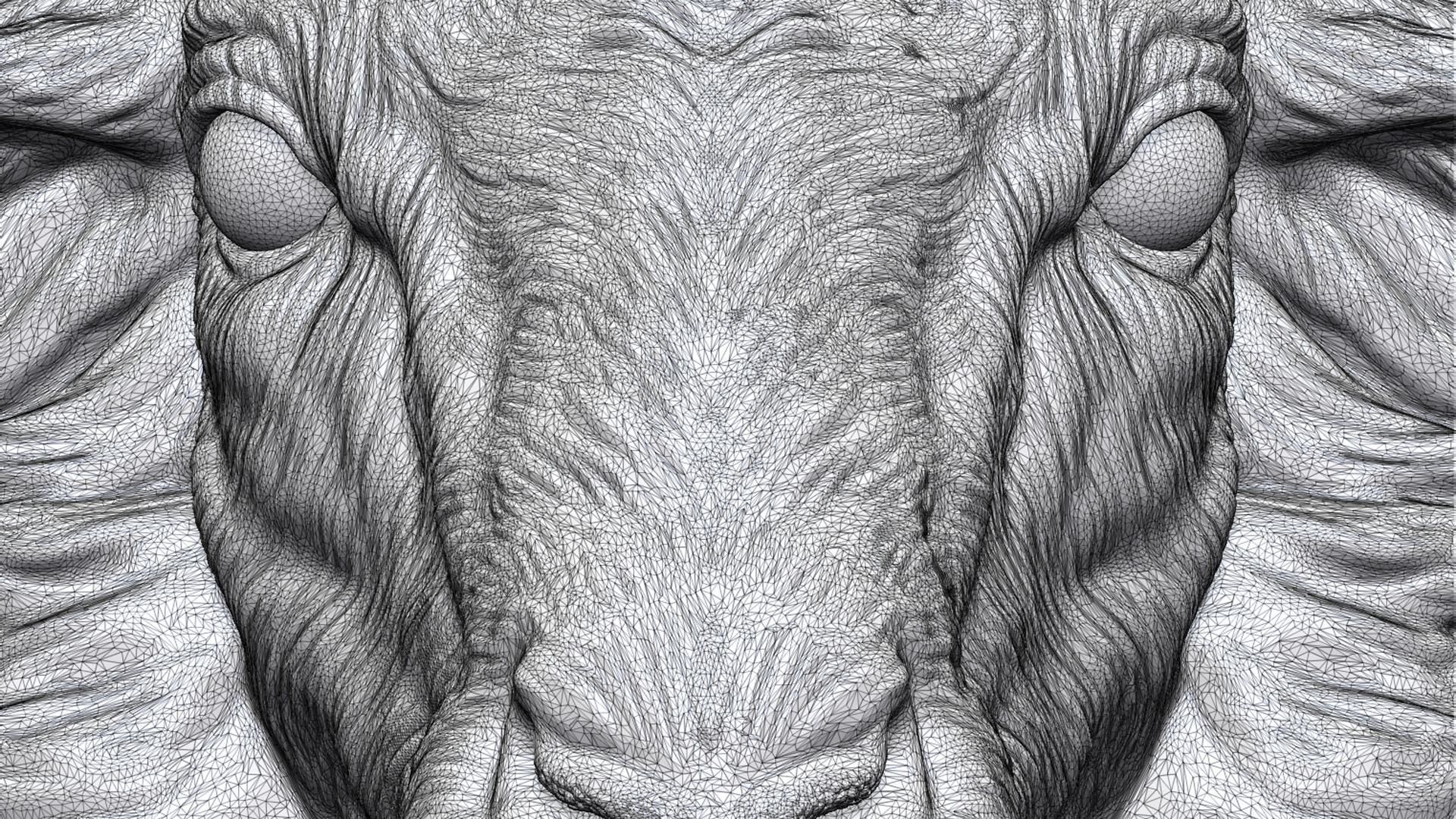 Sheep head 3D print model_20