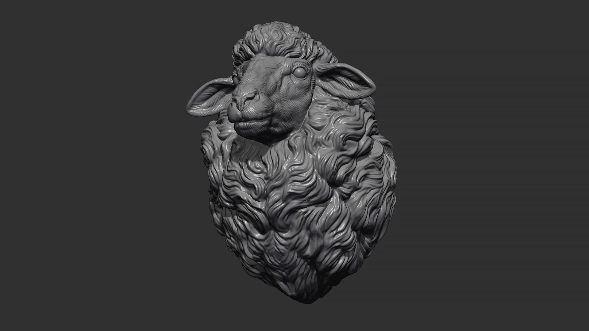 Sheep head 3D print model_1