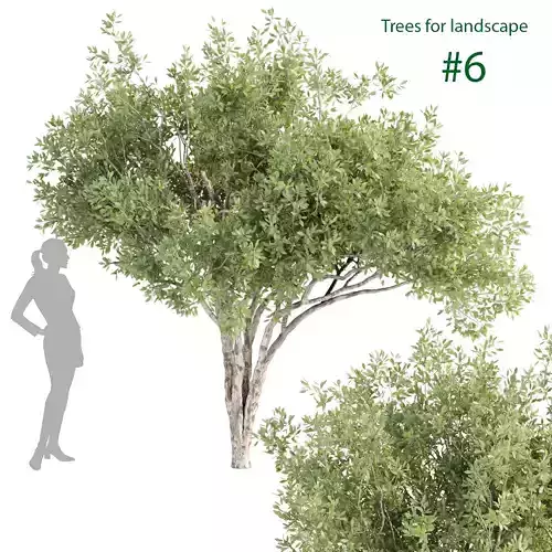 Trees for landscape collection vol 204 3D model
