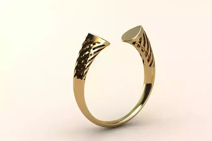 Split ring 003