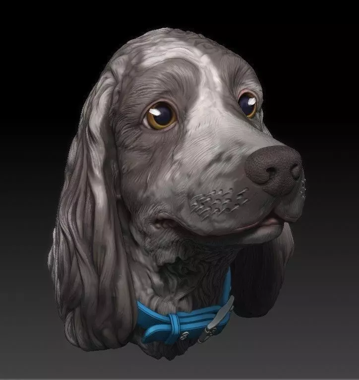 cocker dog 3D print model