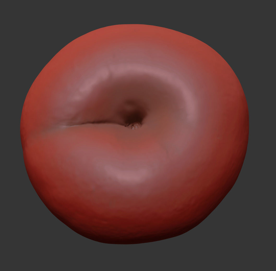 Plum  3D model_7