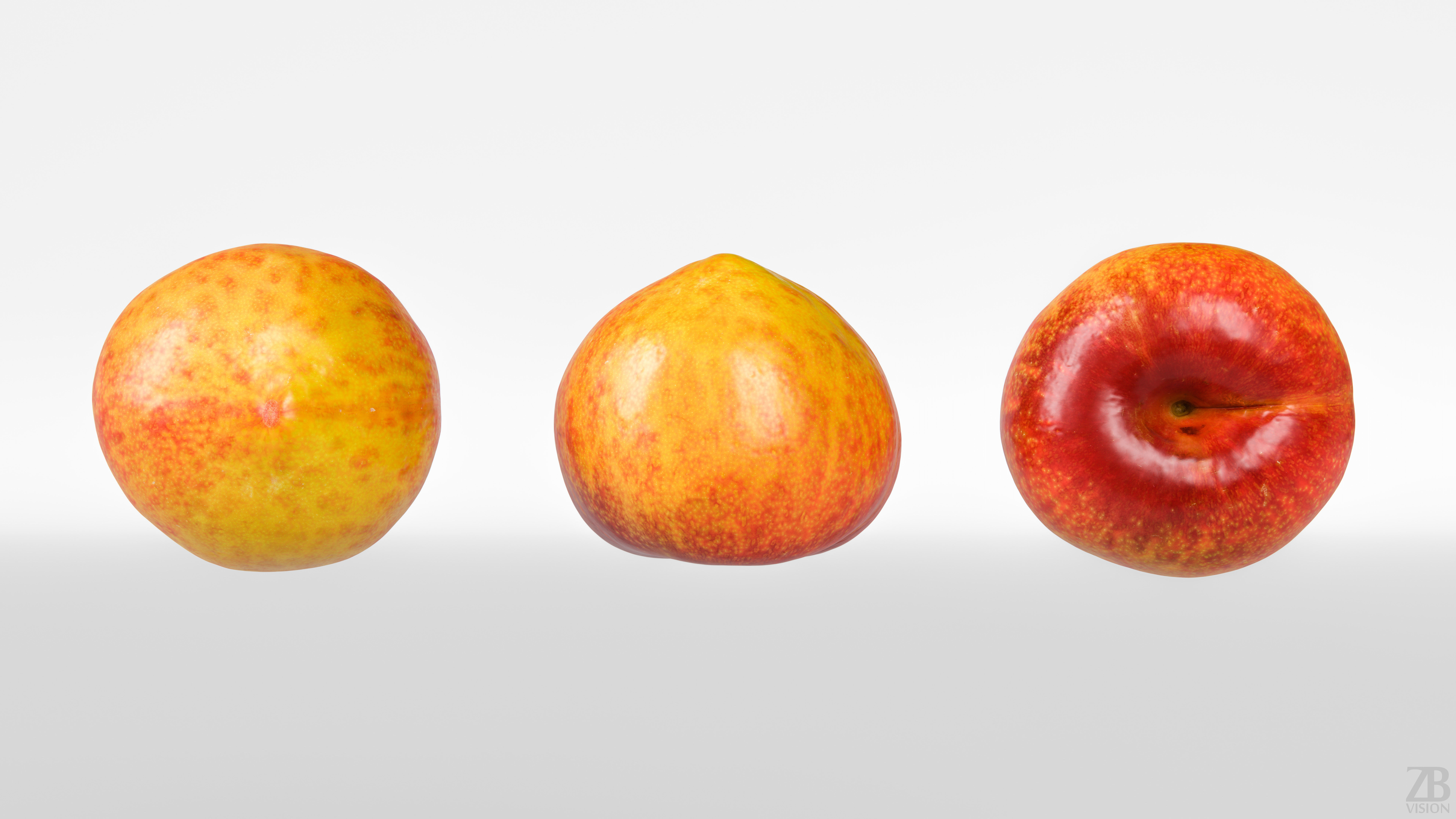Plum  3D model_4