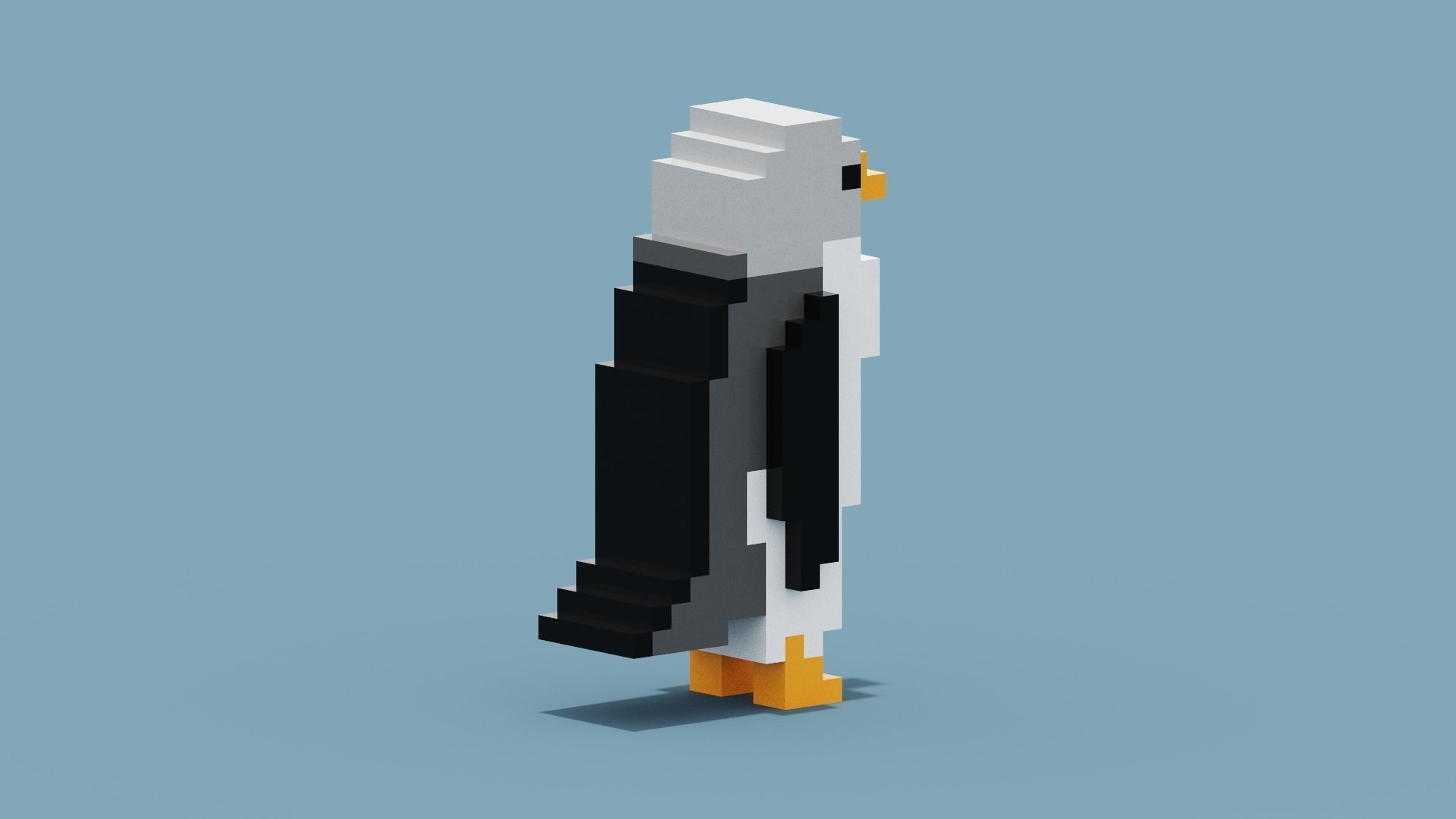 Voxel Penguin Low-poly 3D model_9