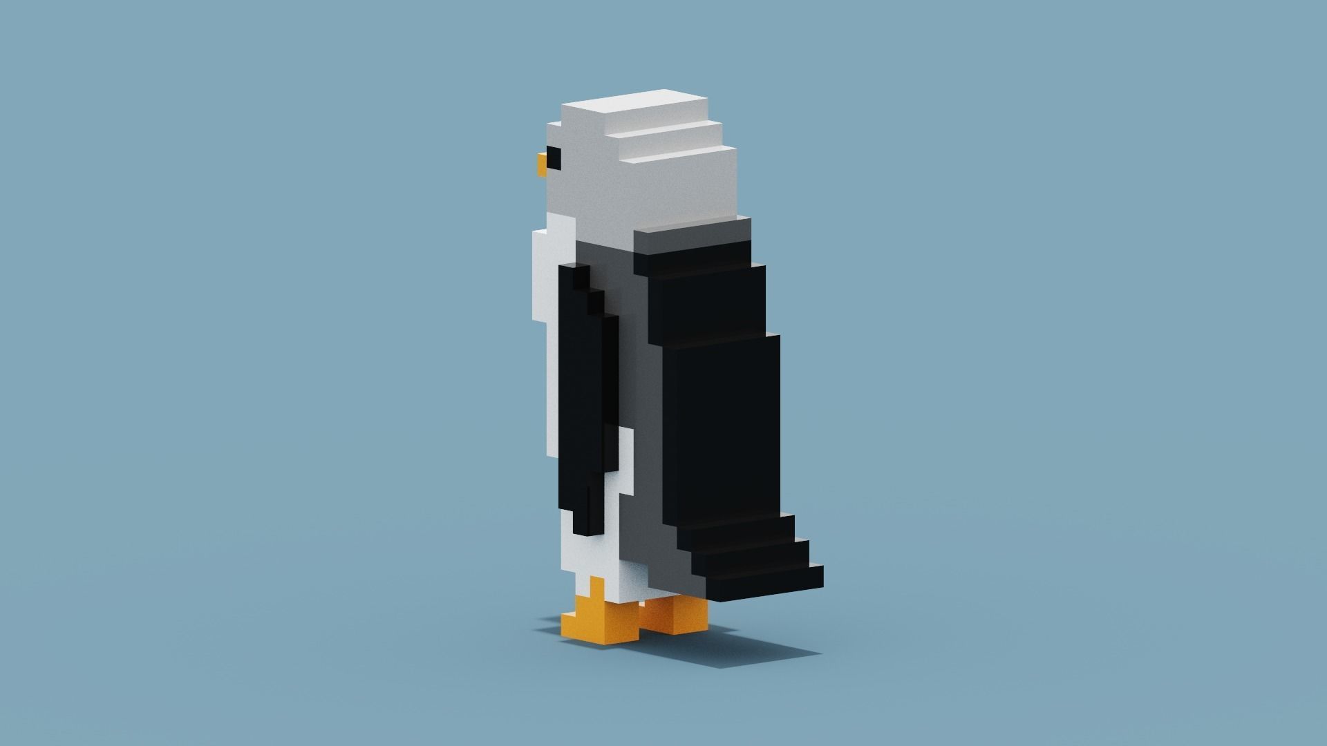 Voxel Penguin Low-poly 3D model_11