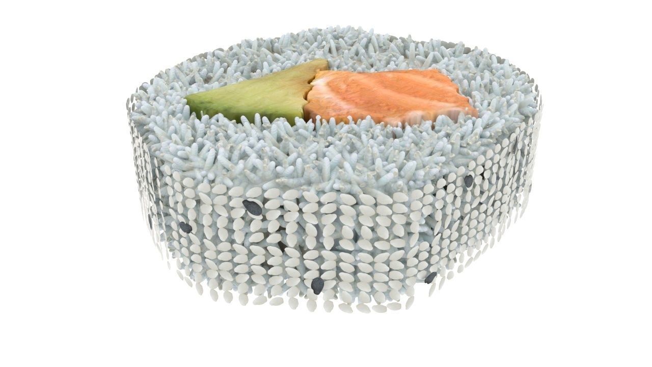 Sushi Roll With Sesame Seeds 3D model_12