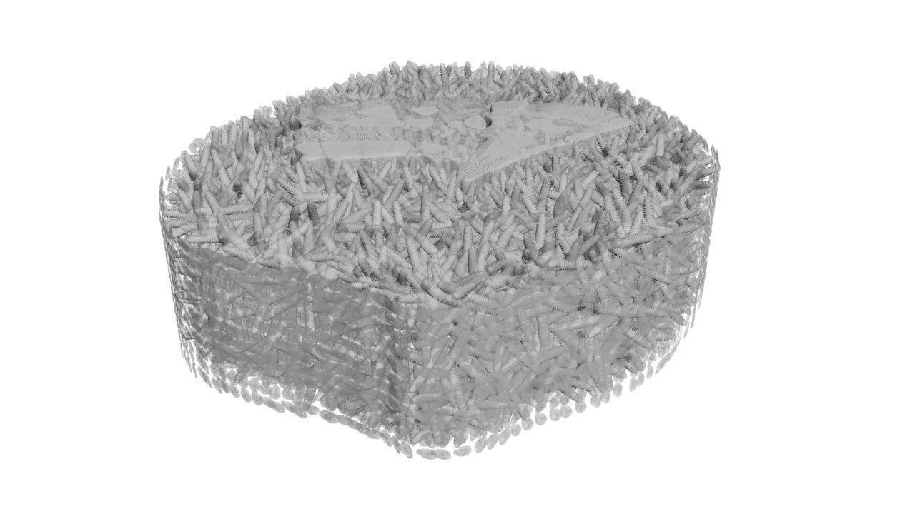 Sushi Roll With Sesame Seeds 3D model_16