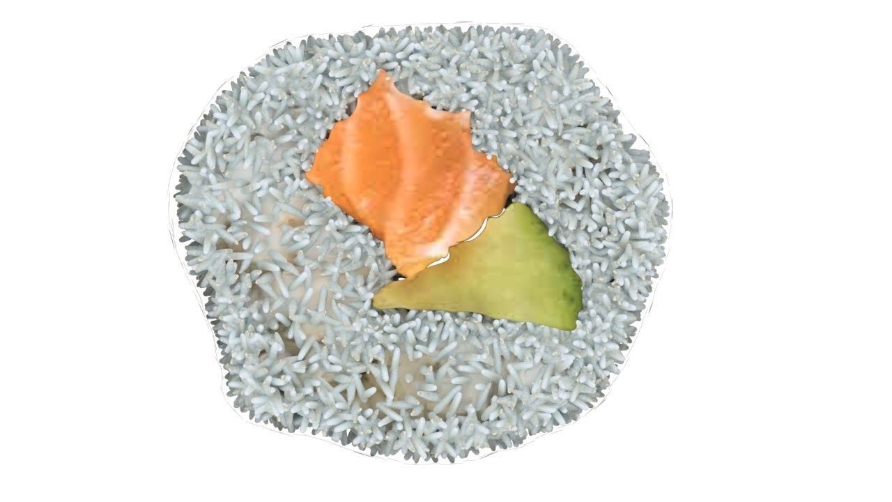 Sushi Roll With Sesame Seeds 3D model_15