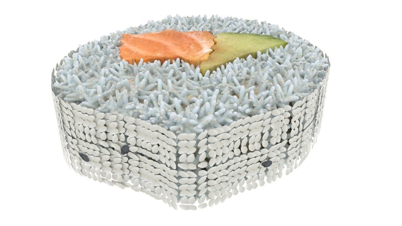Sushi Roll With Sesame Seeds 3D model_10