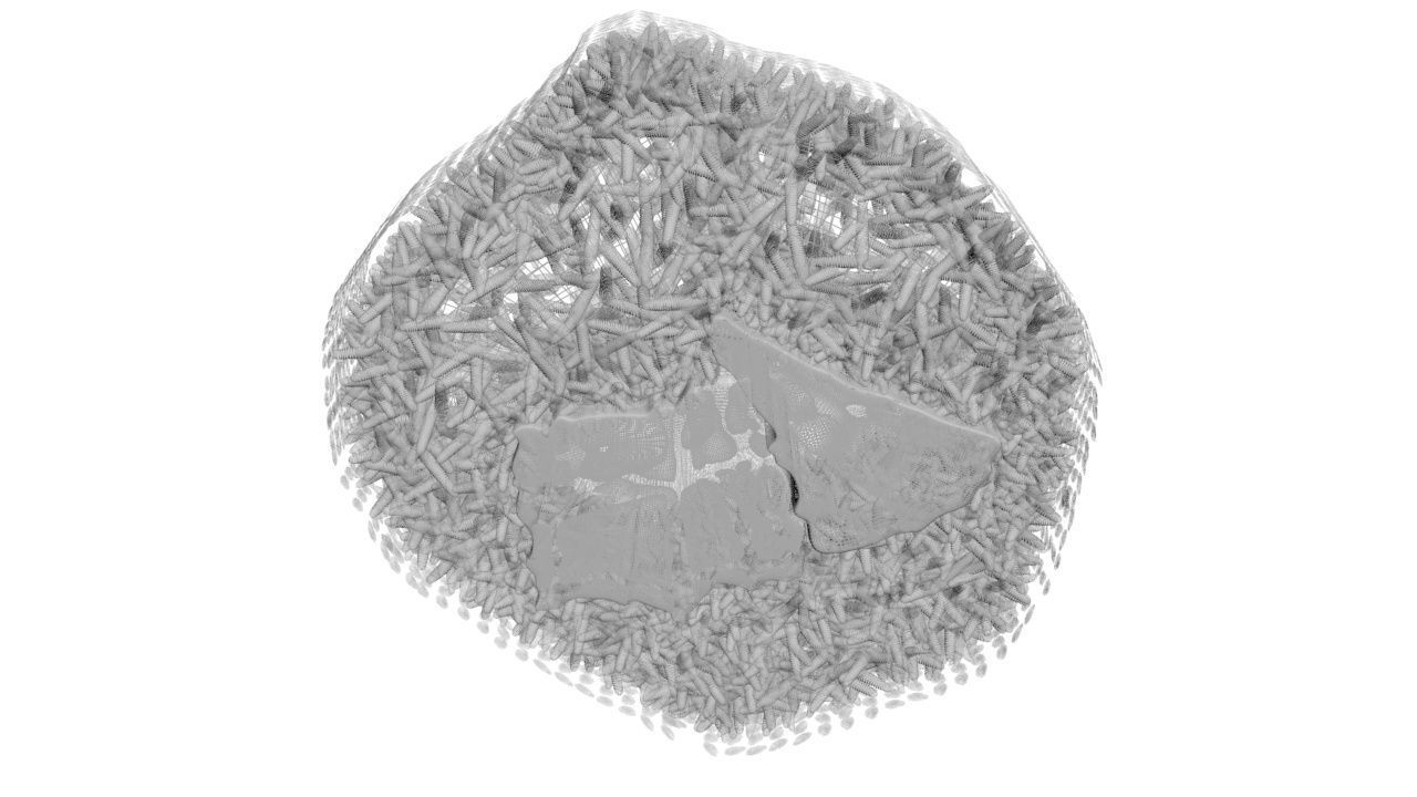 Sushi Roll With Sesame Seeds 3D model_20