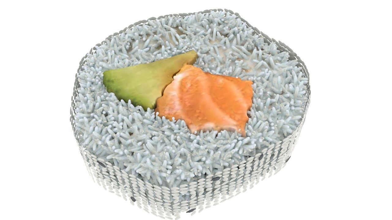 Sushi Roll With Sesame Seeds 3D model_13