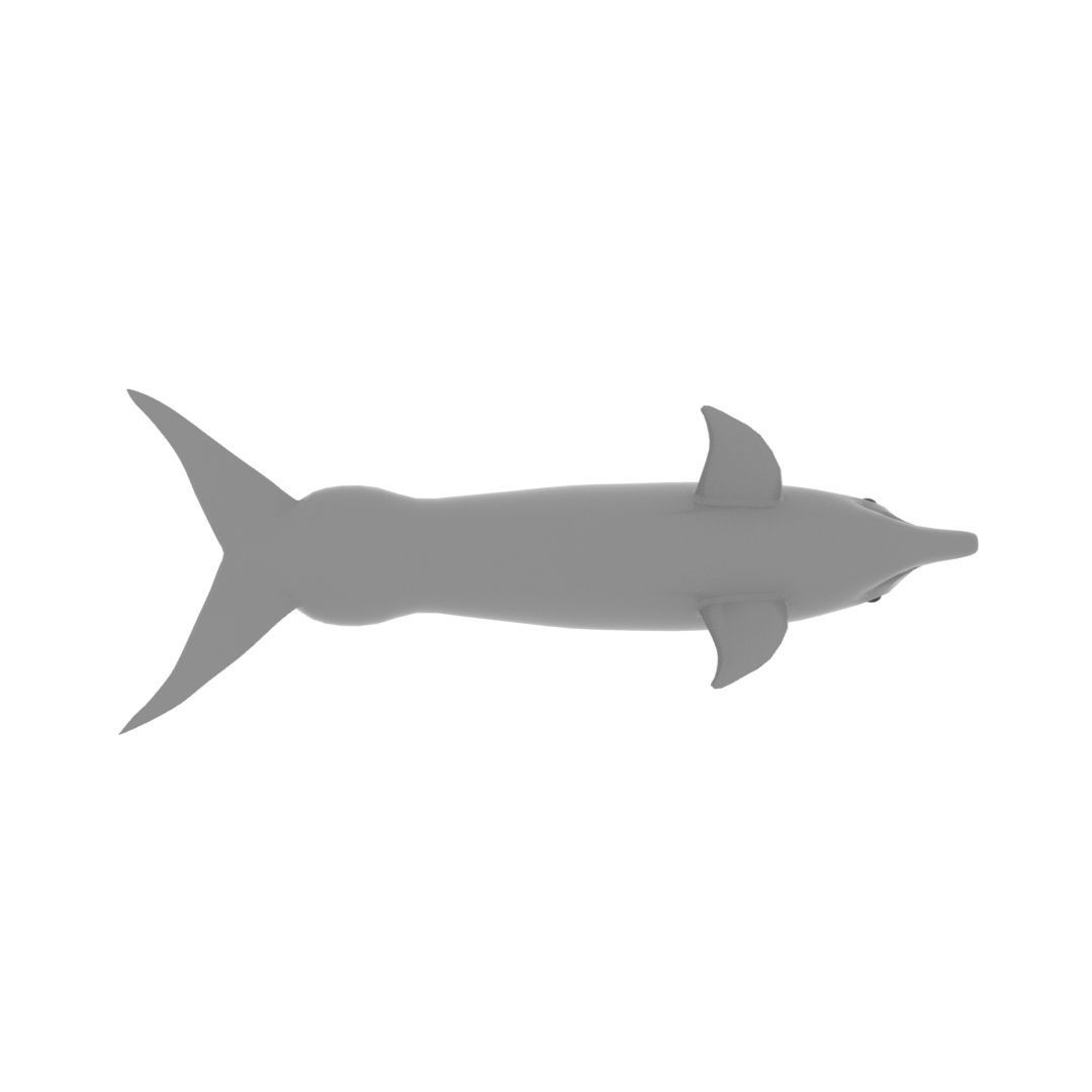 Afalin dolphin 3D model_3