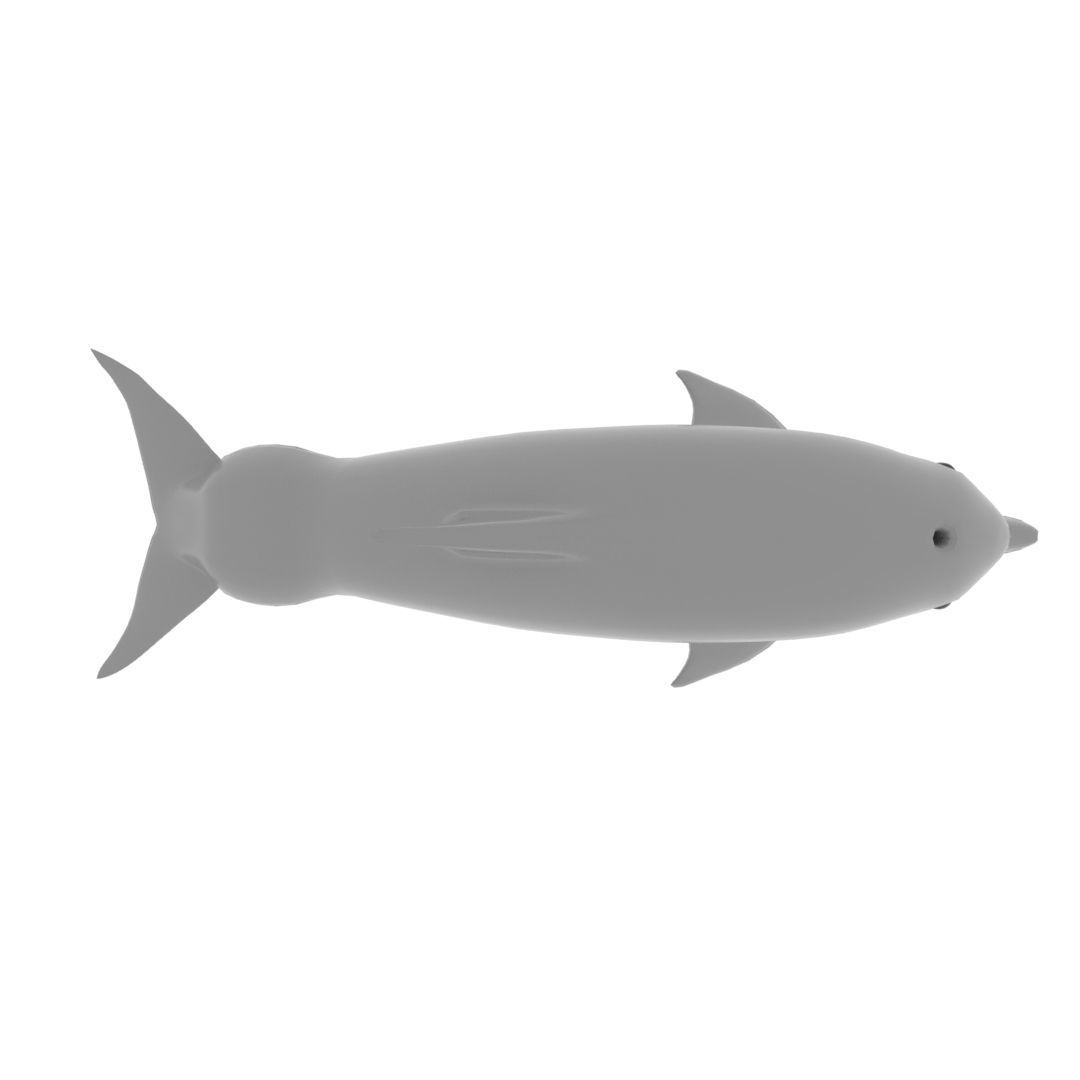Afalin dolphin 3D model_2