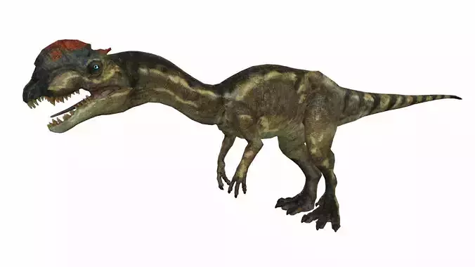 Dilophosaurus Low-poly 3D model