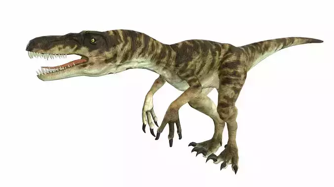 Raptor Low-poly 3D model
