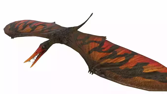 Rhamphorhynchus Low-poly 3D model