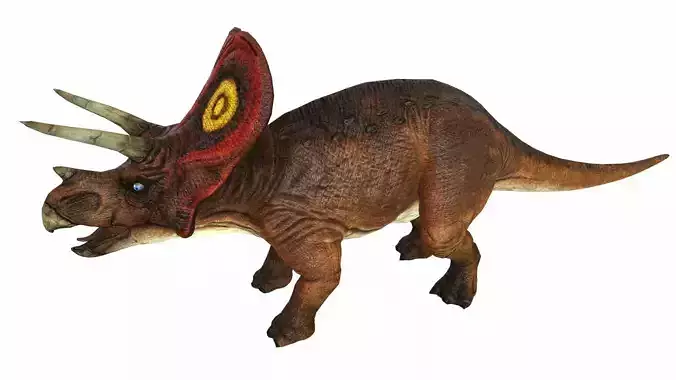 Triceratop Low-poly 3D model