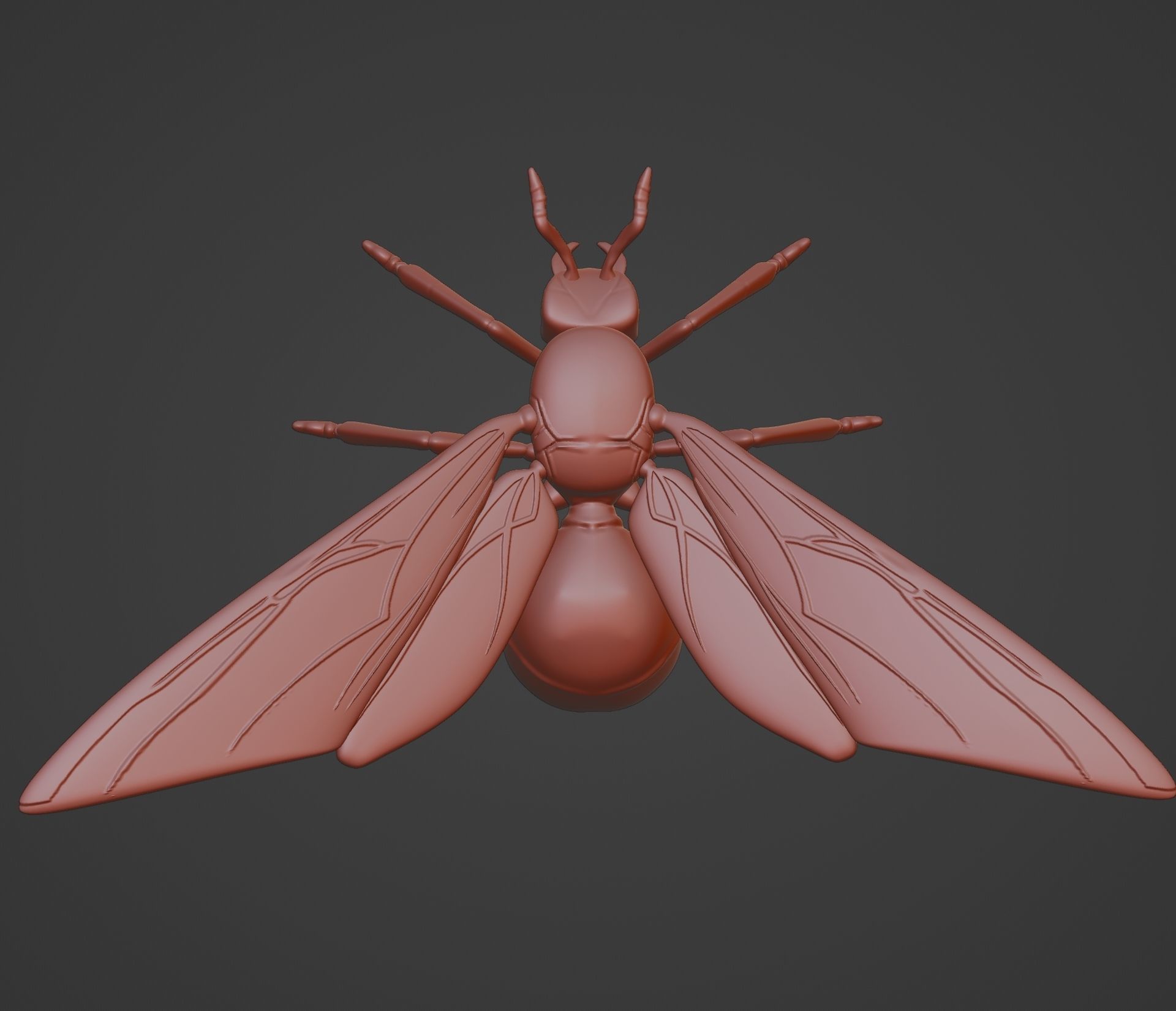 WINGED ANT 3D print model_10