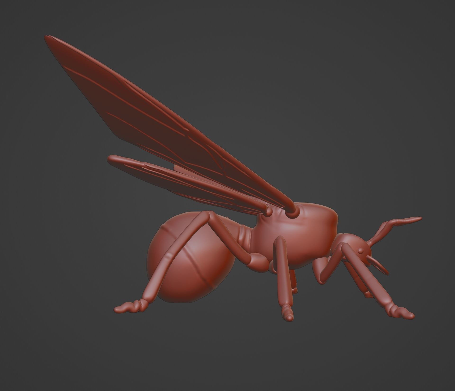 WINGED ANT 3D print model_8
