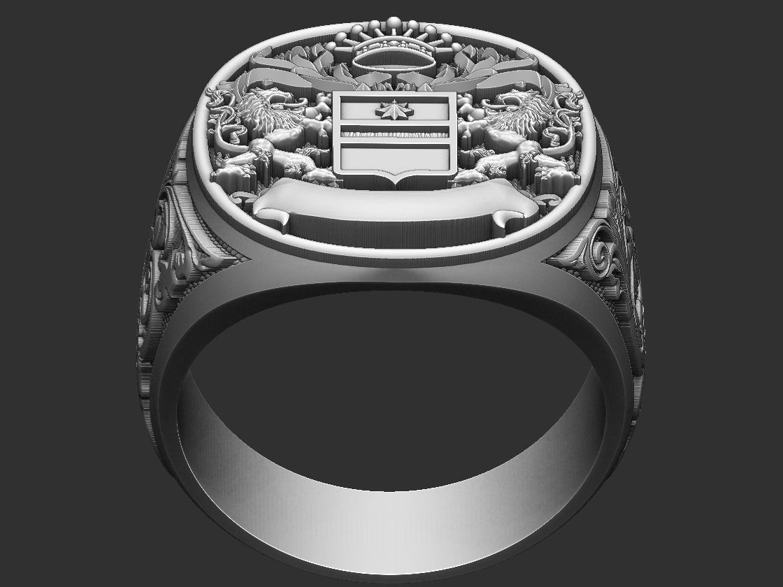 Coat Of Arms Liond Crown - Brasao - Ring and Pendant 3D print model_7