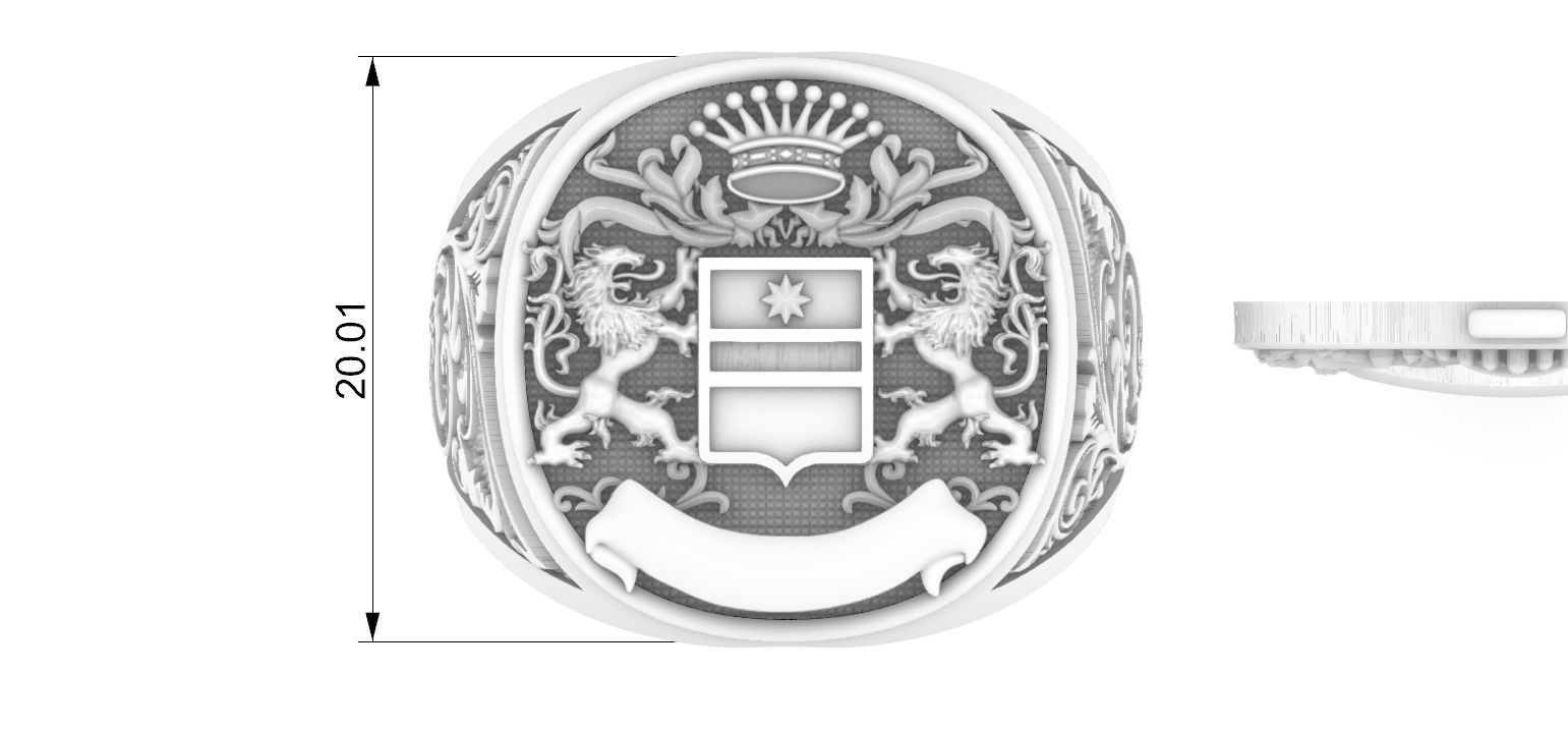 Coat Of Arms Liond Crown - Brasao - Ring and Pendant 3D print model_12